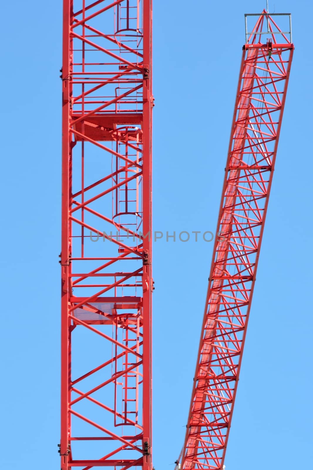 Large red crane detail by pauws99