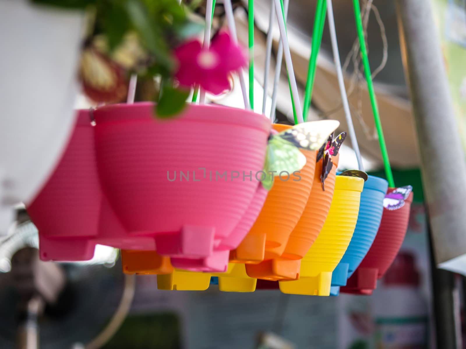 colourful plastic flower pots