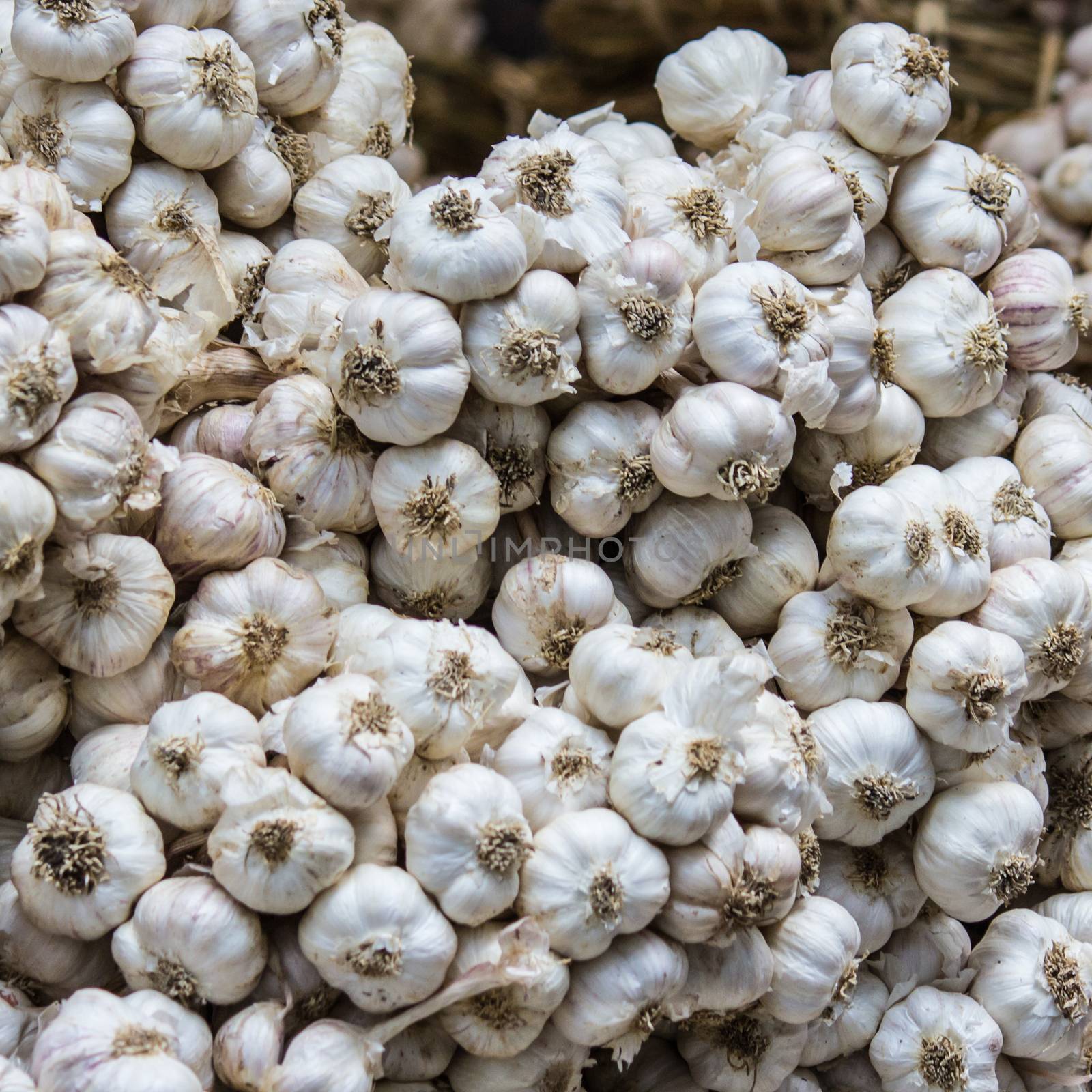 Fresh garlic in the market