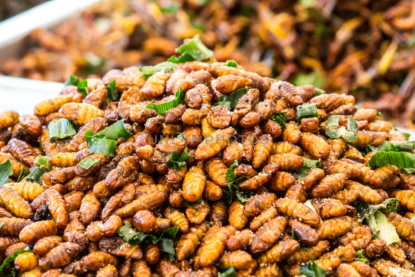 insect fried food by redthirteen