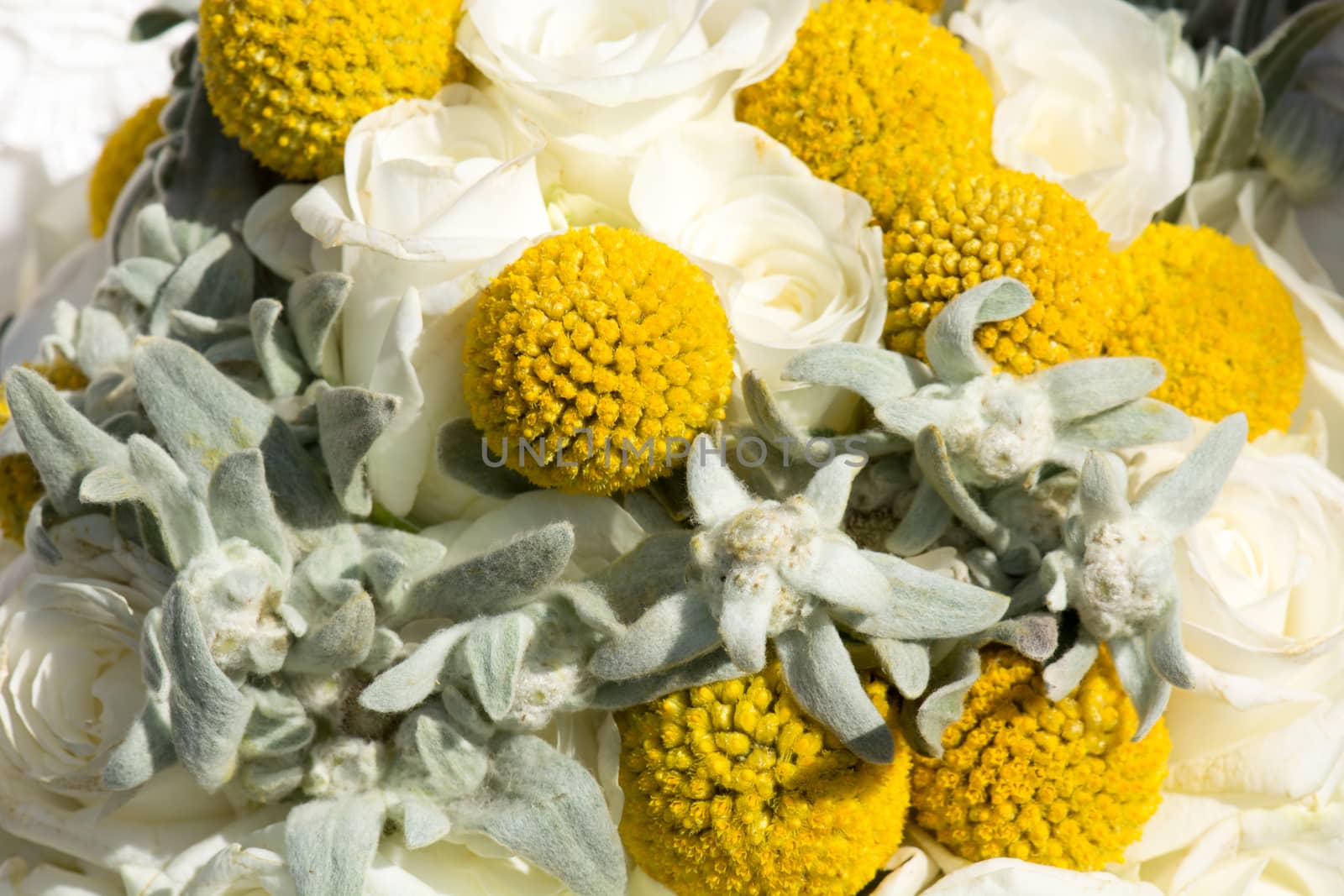 Detail of a bridal bouquet in summer with white roses and yellow flowers, warm mood