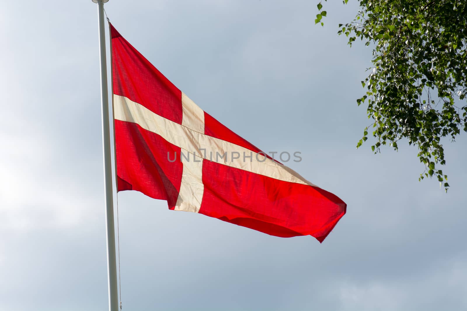 Danish flag on a flag pole in summer with gray clouds in the background