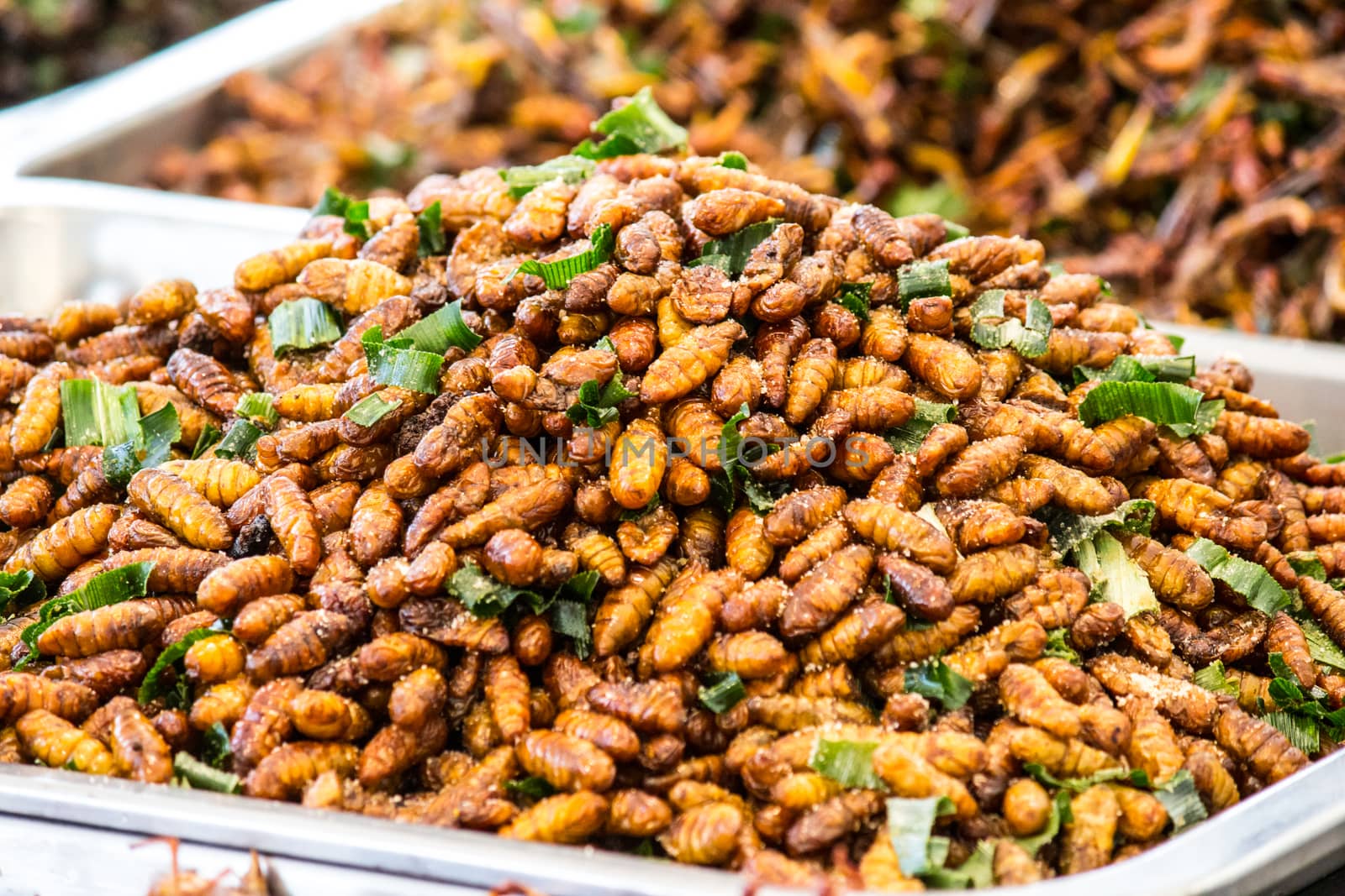 insect fried food by redthirteen