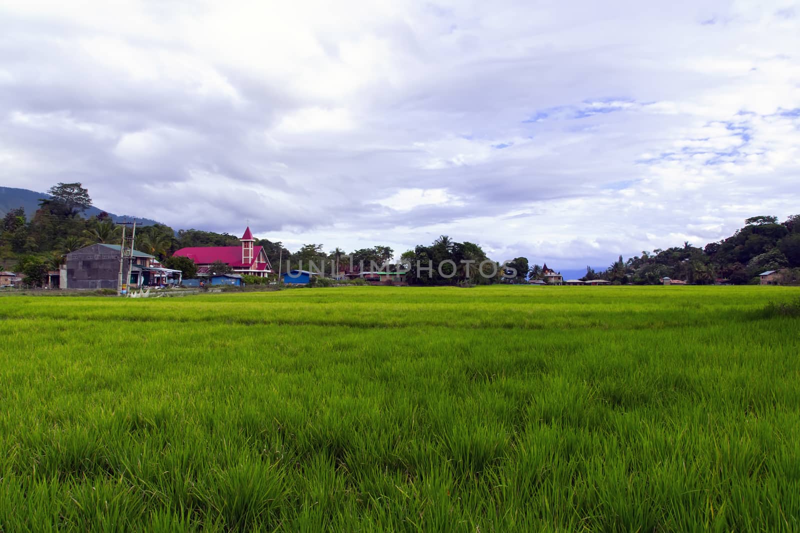 Green Grass, Red Church in Samosir Island. Lake Toba, North Sumatra, Indonesia.