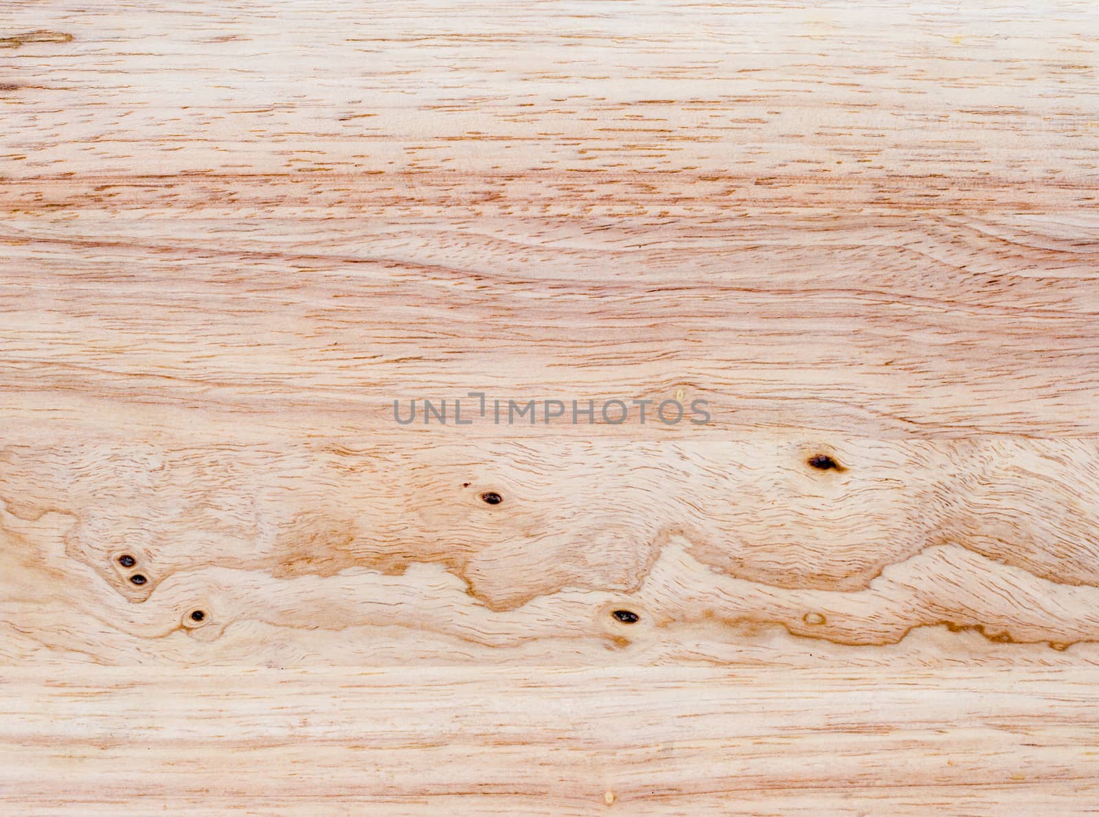 Texture of wood background closeup