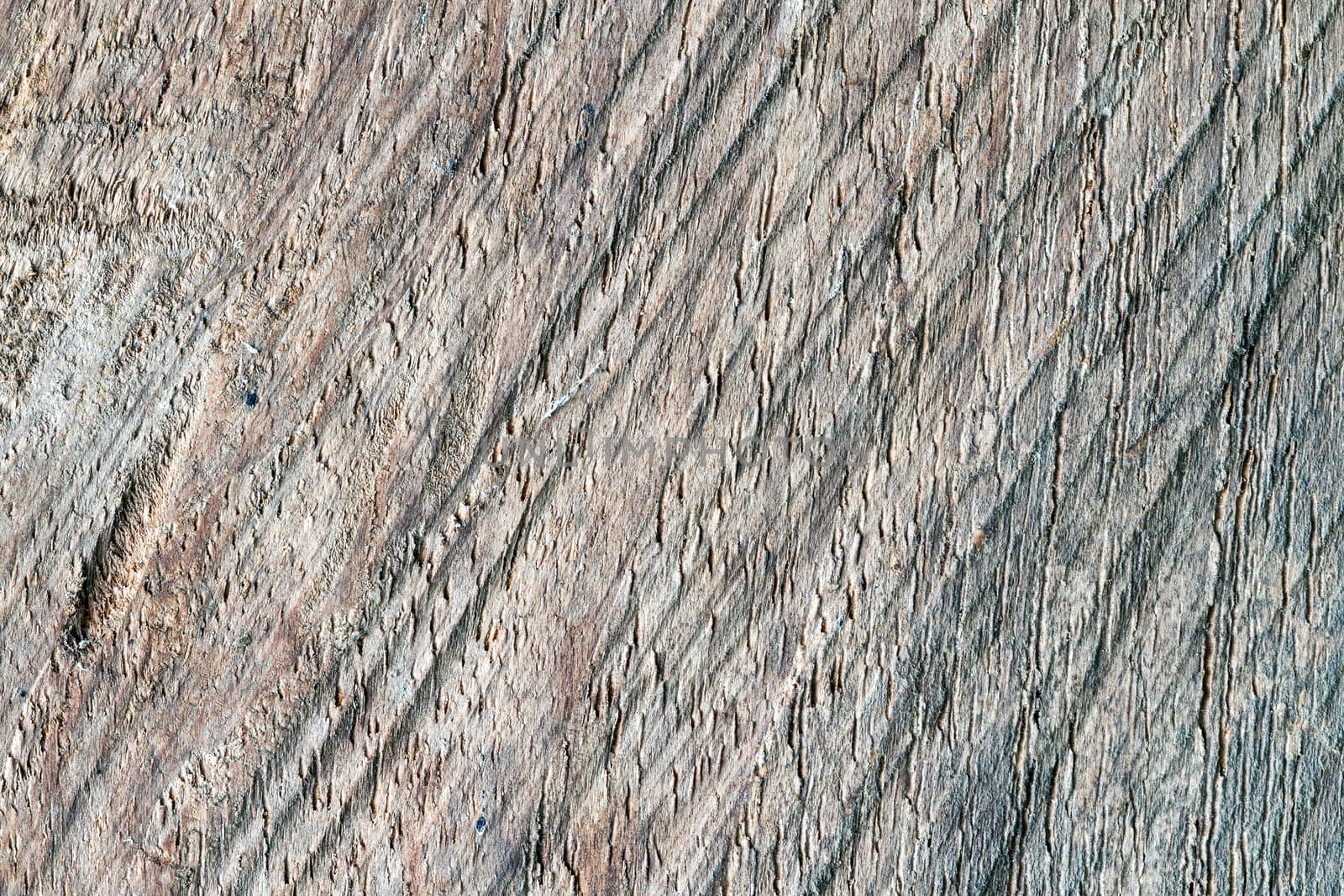 Wood texture or background - teak
