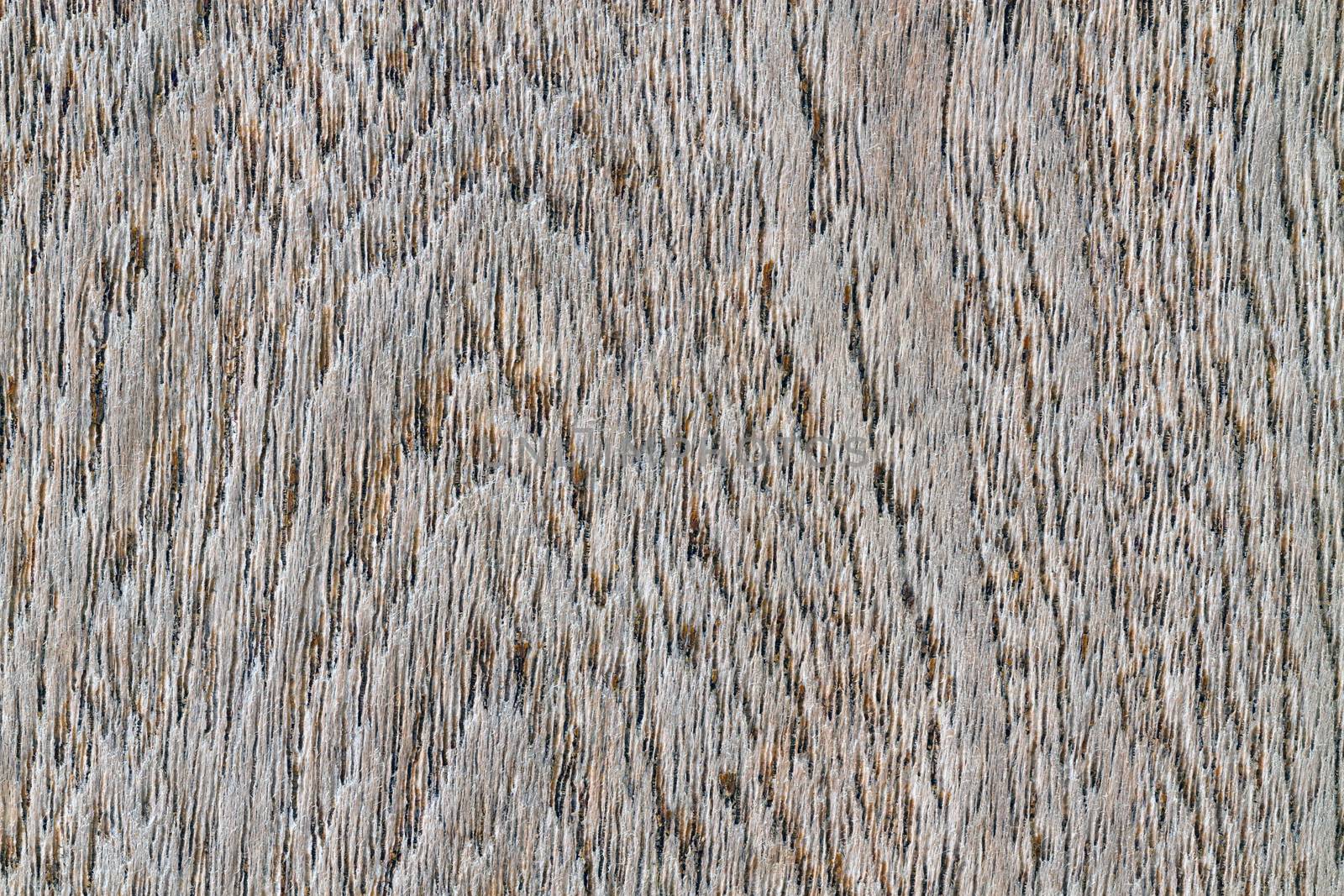 Wood texture or background - teak