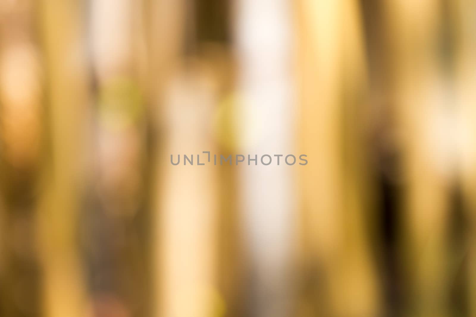 Blurred defocused natural background