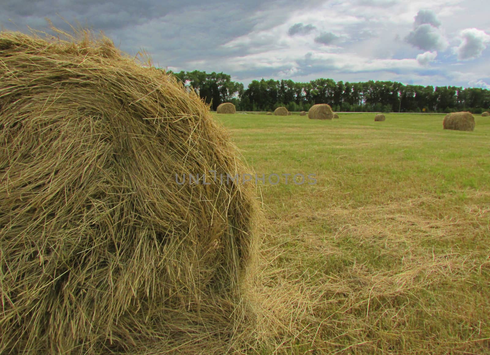 Stack cut hay on the background of a great storm clouds and the upcoming weather