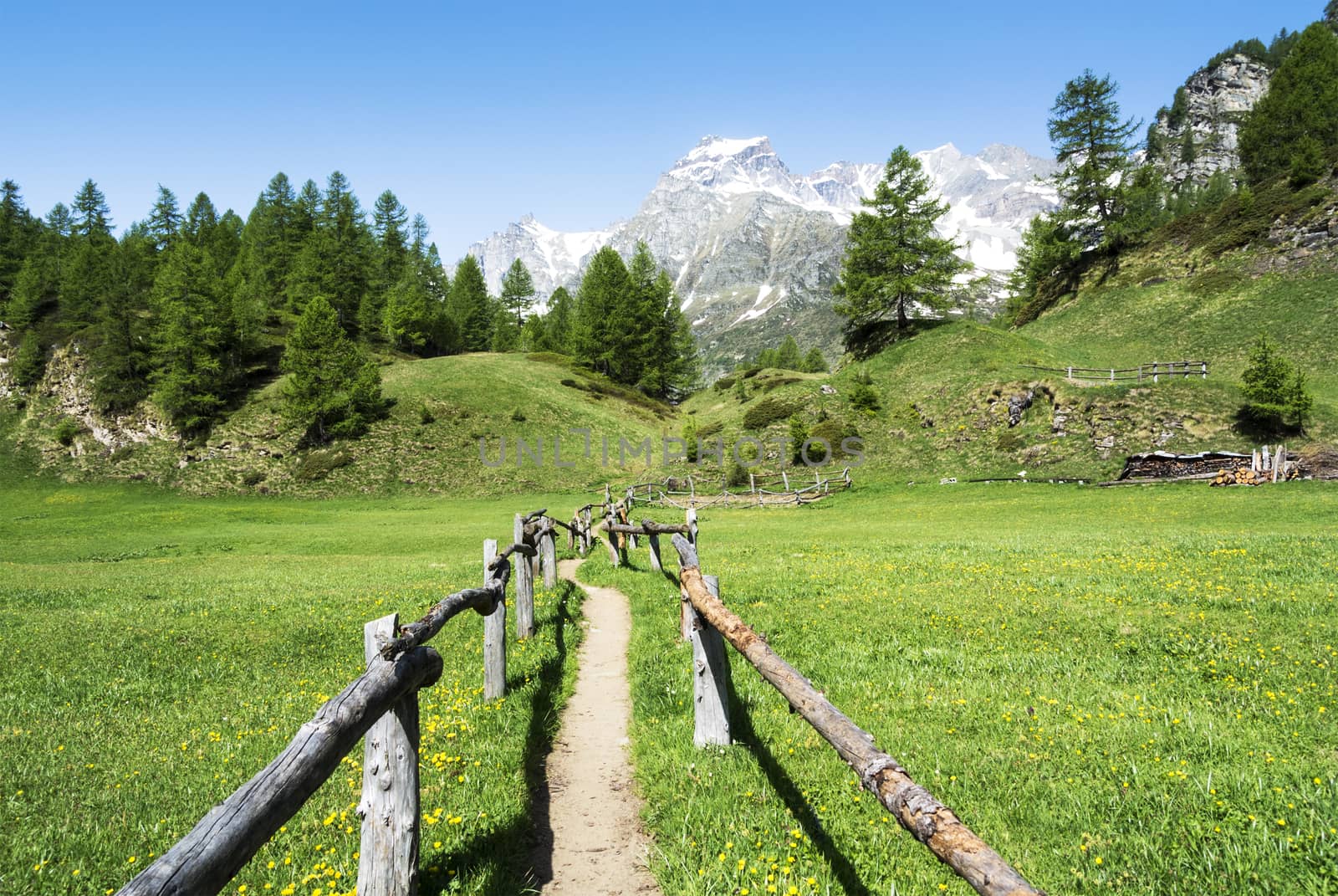 Devero Alp near the village of Crampiolo, Piedmont - Italy