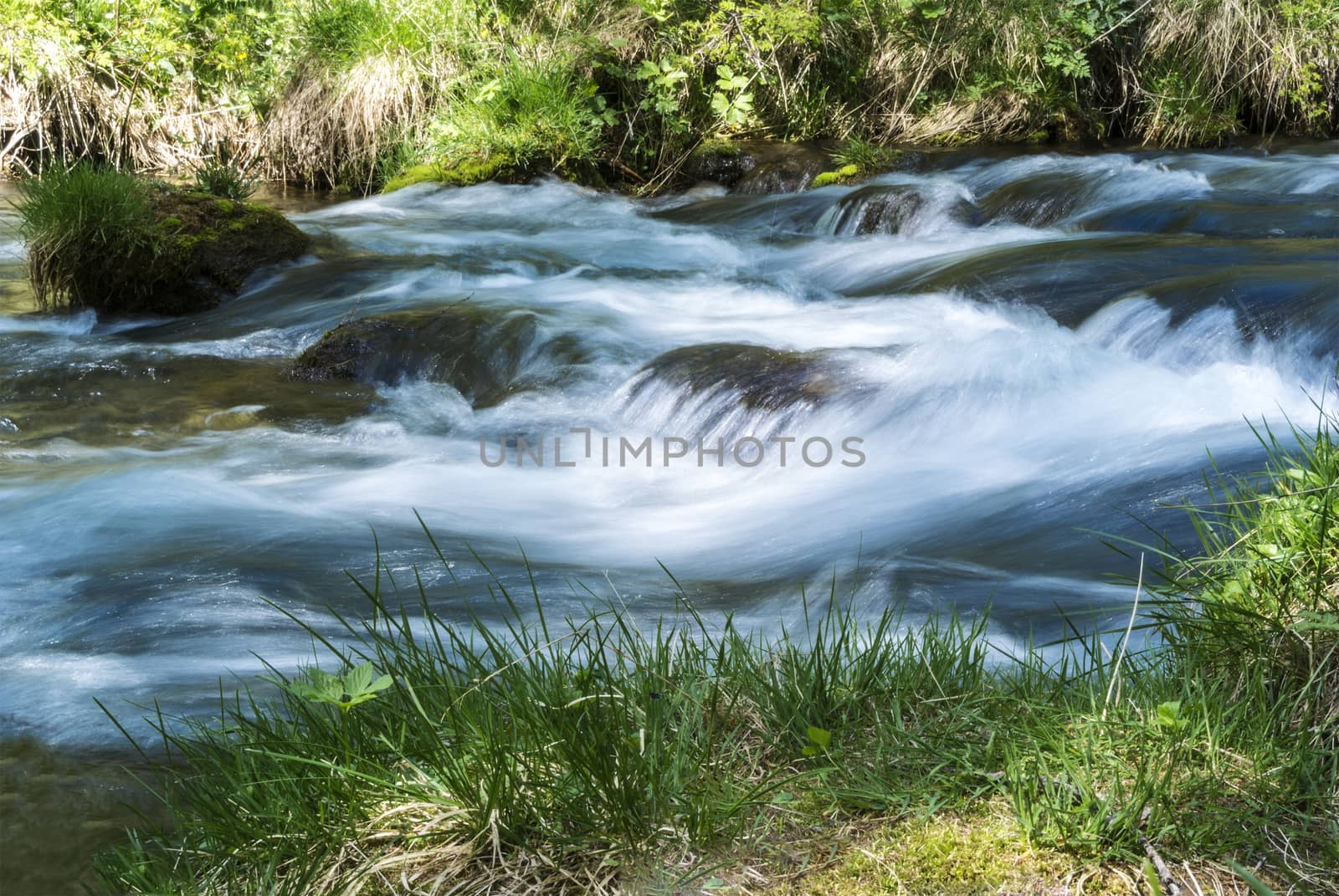 River in the forest of Devero Alp by Mdc1970