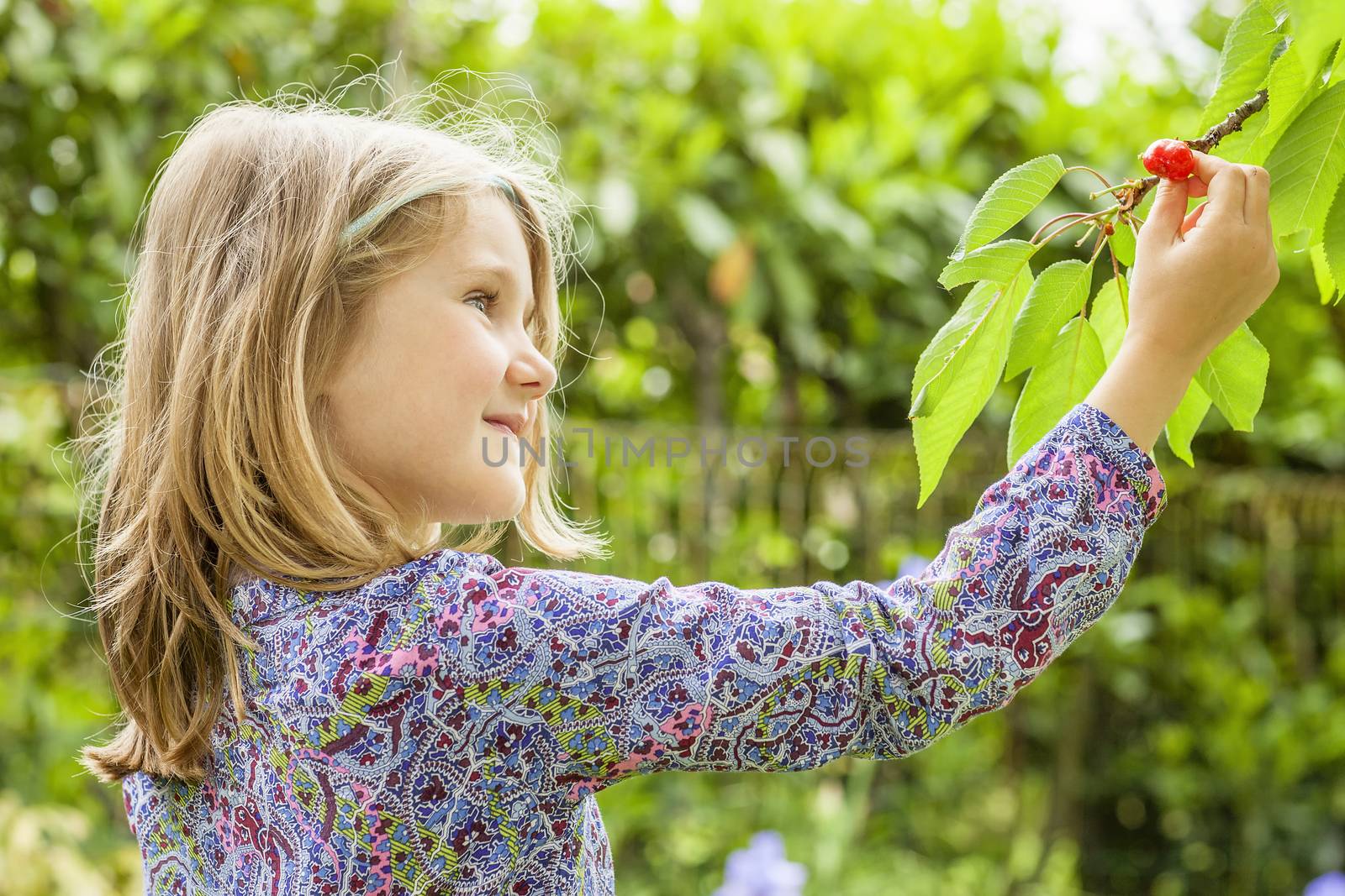 girl and cherry tree by vwalakte