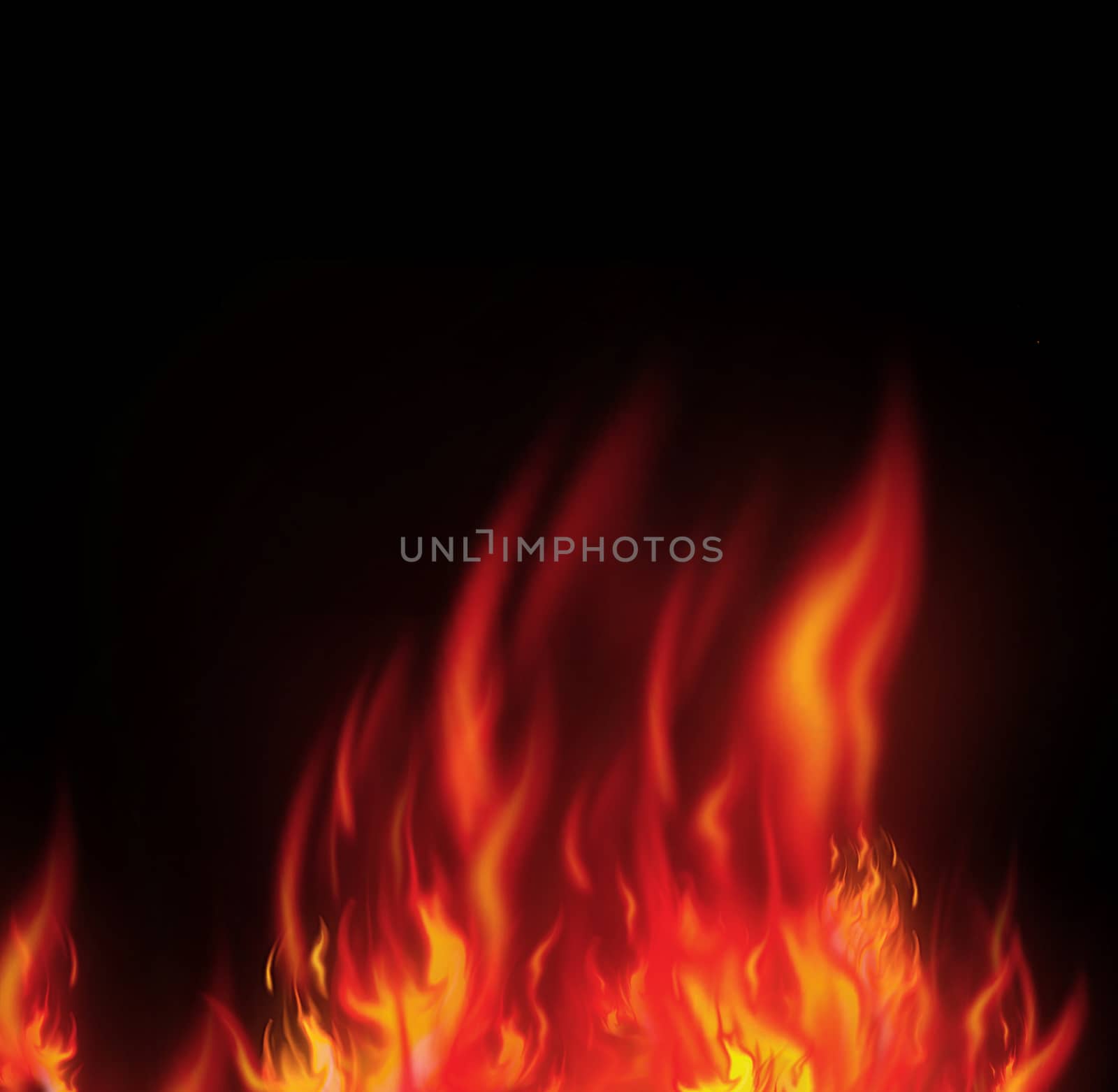 fire isolated over black background