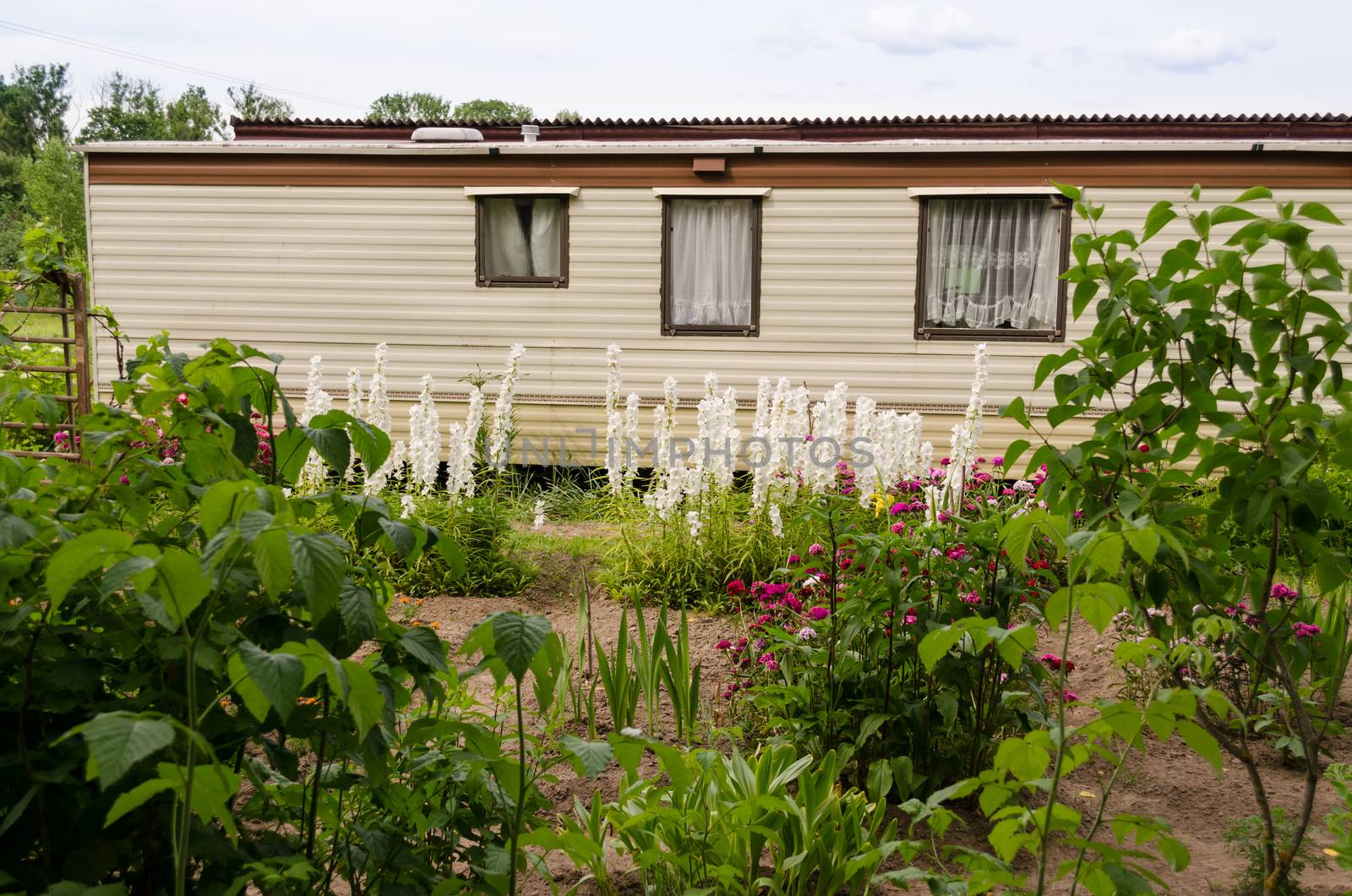 coach travel mobile trolley house in garden between the flowers in summer time