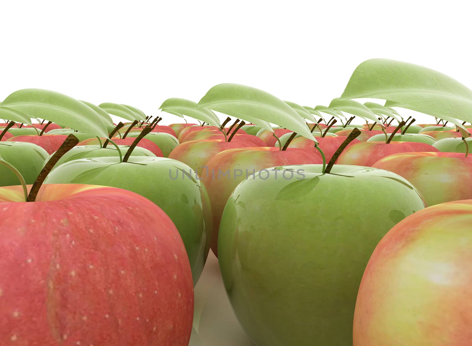 apples on a white background