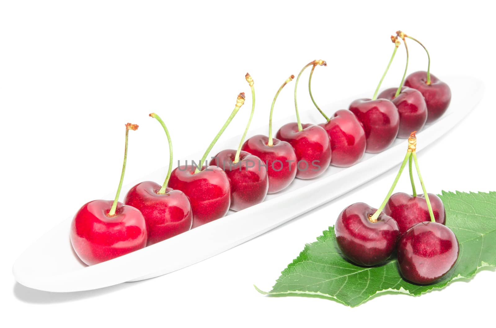 Big dark red ripe cherry berry row arranged on long white dish and fresh green leaf isolated