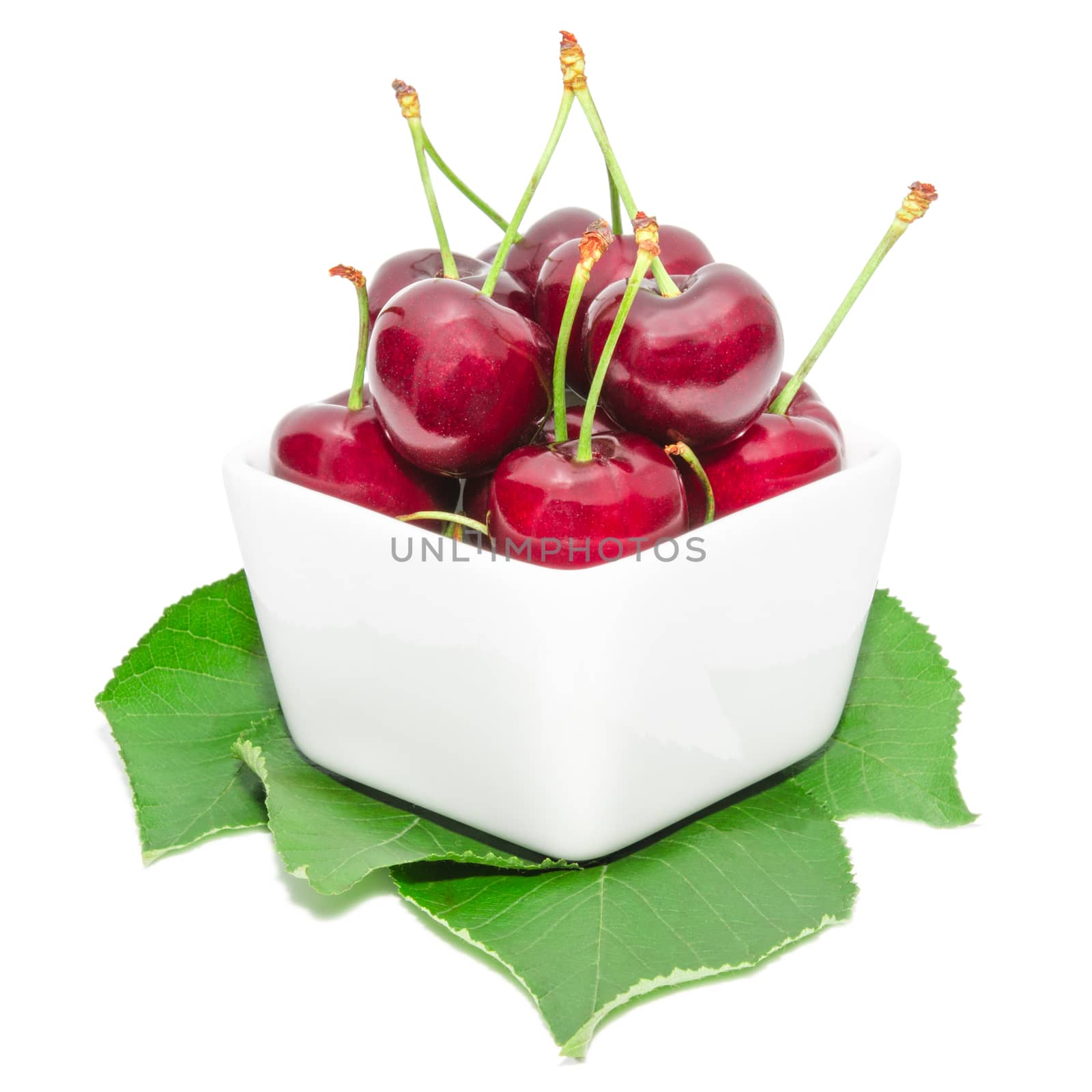 Ripe sweet and juicy tasty cherry berries arranged in small square bowl dish on fresh green leaves isolated