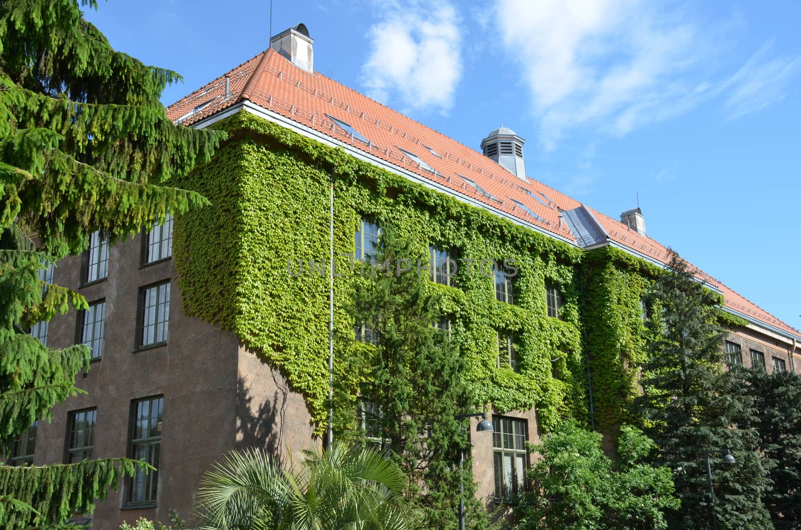 Natural History Museum at the University of Oslo by Brage