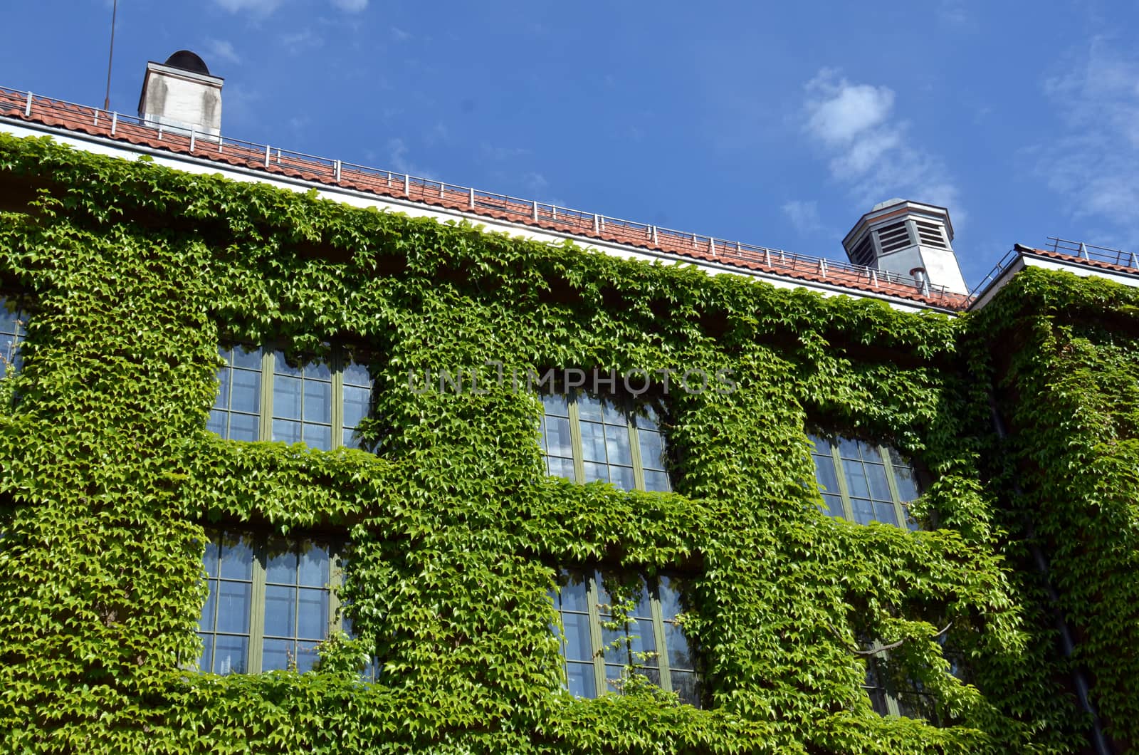 The Natural History Museum at the University of Oslo (Norwegian: Naturhistorisk museum, NHM) is Norway's oldest and largest museum of natural history, situated in Oslo. It traces its roots to the University Botanical Garden, which was founded near Tøyen Manor in 1814. Museums for zoology, botany and geology were added approximately a hundred years later, when the university campus in central Oslo had become too small for such purposes. For most of the twentieth century the museums and botanical garden were organized in five different entities; these were merged on 1 August 1999.