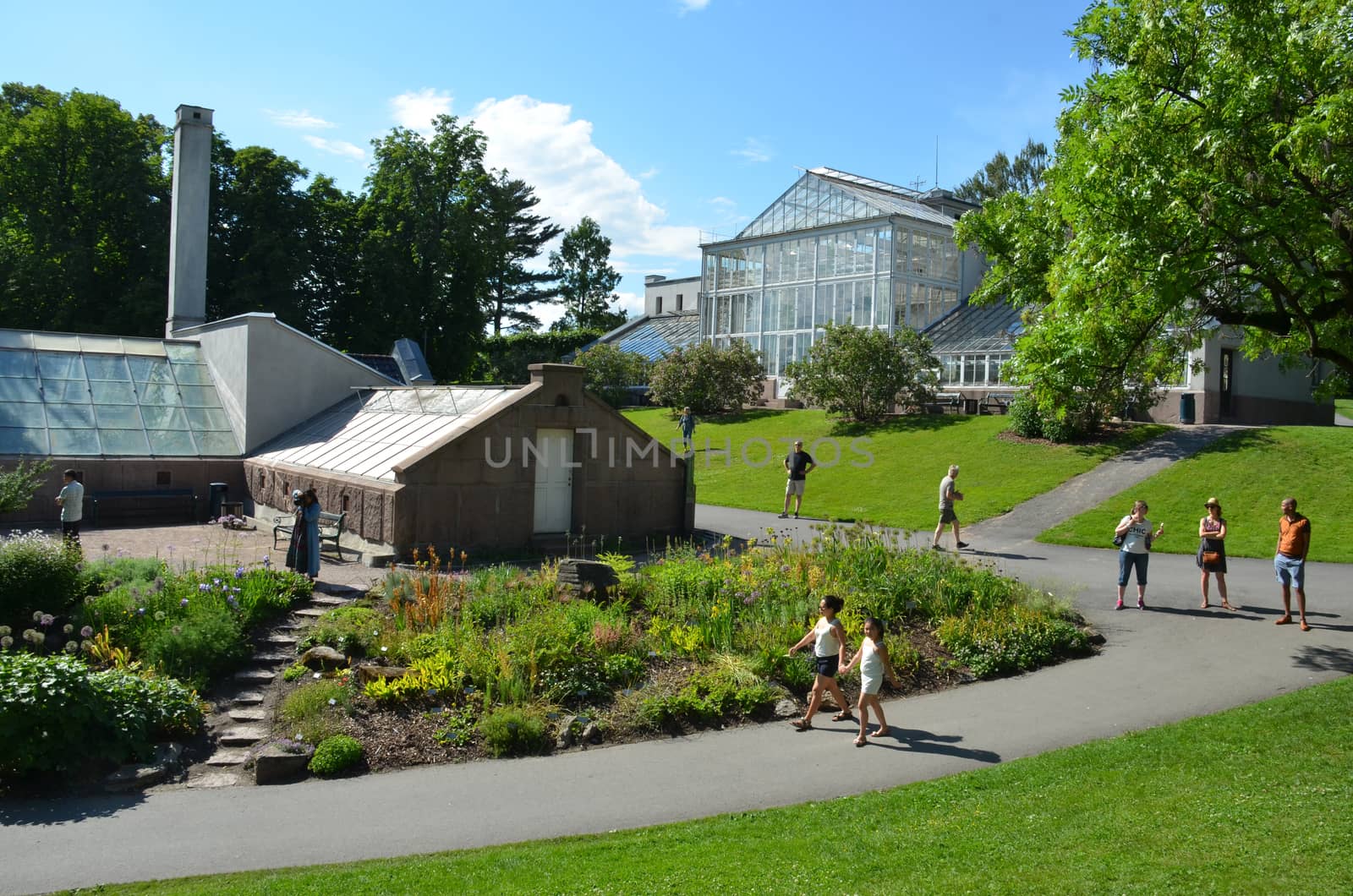 University Botanical Garden (Oslo) by Brage