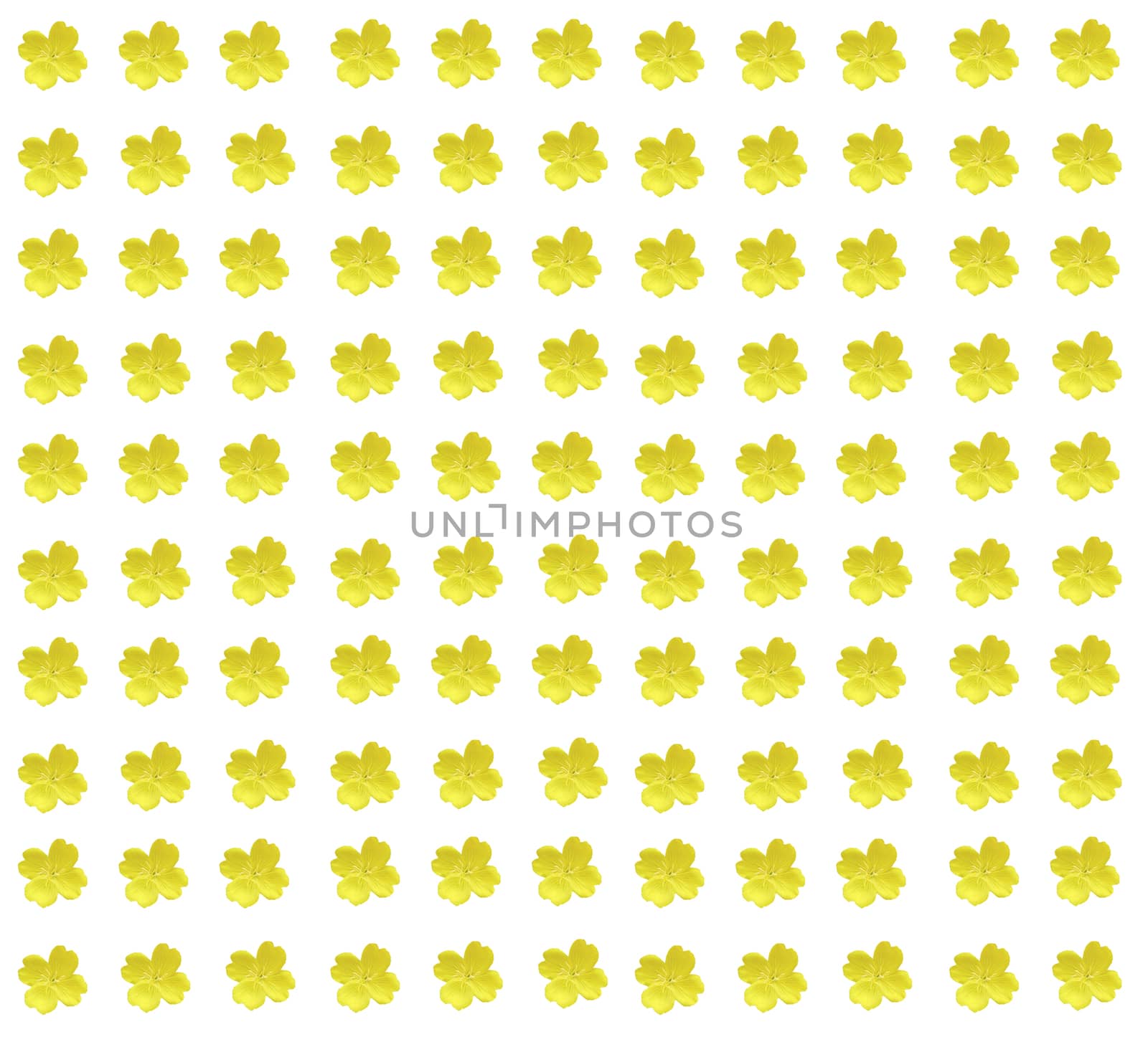 Many small yellow colors for the background
