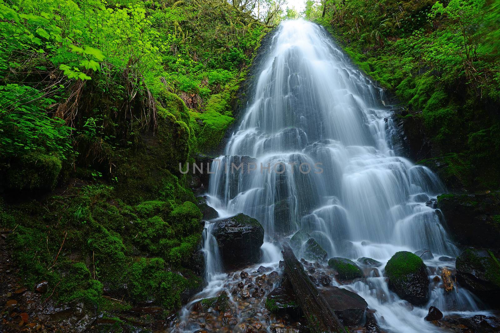 waterfall in oregon rain forest near portland