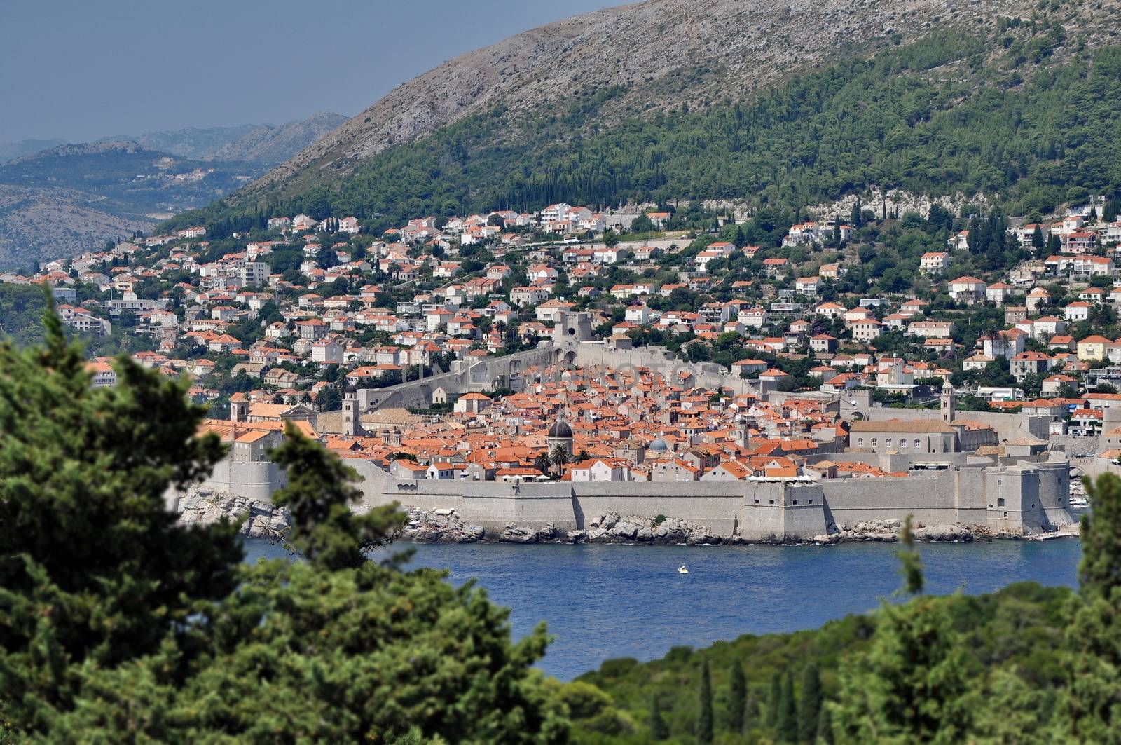 City of Dubrovnik from Lokrum Island by anderm