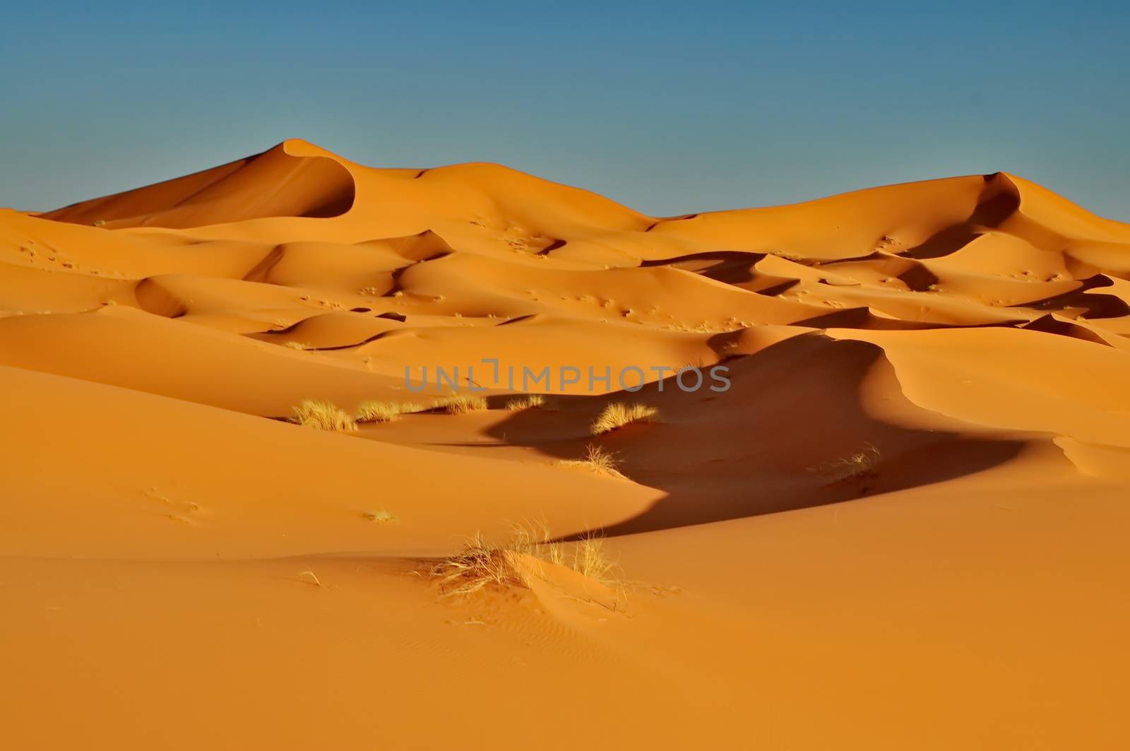 Merzouga desert in Morocco by anderm