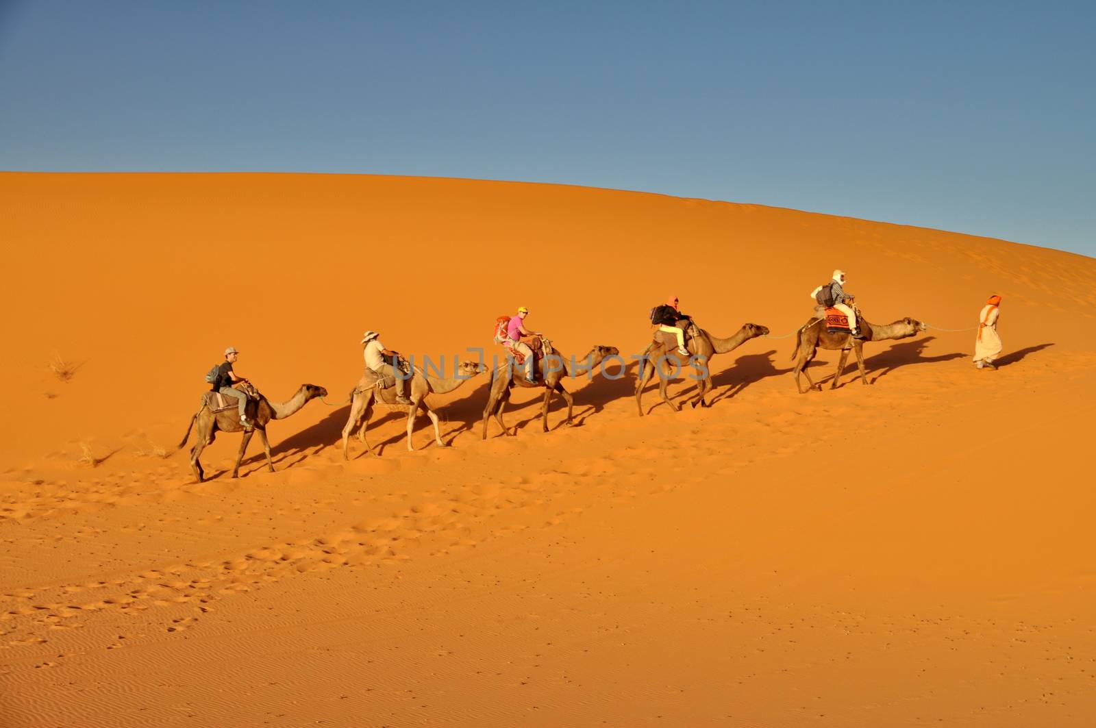 MERZOUGA DESERT - OCTOBER 01: Tourists in a Camel caravan in Mer by anderm