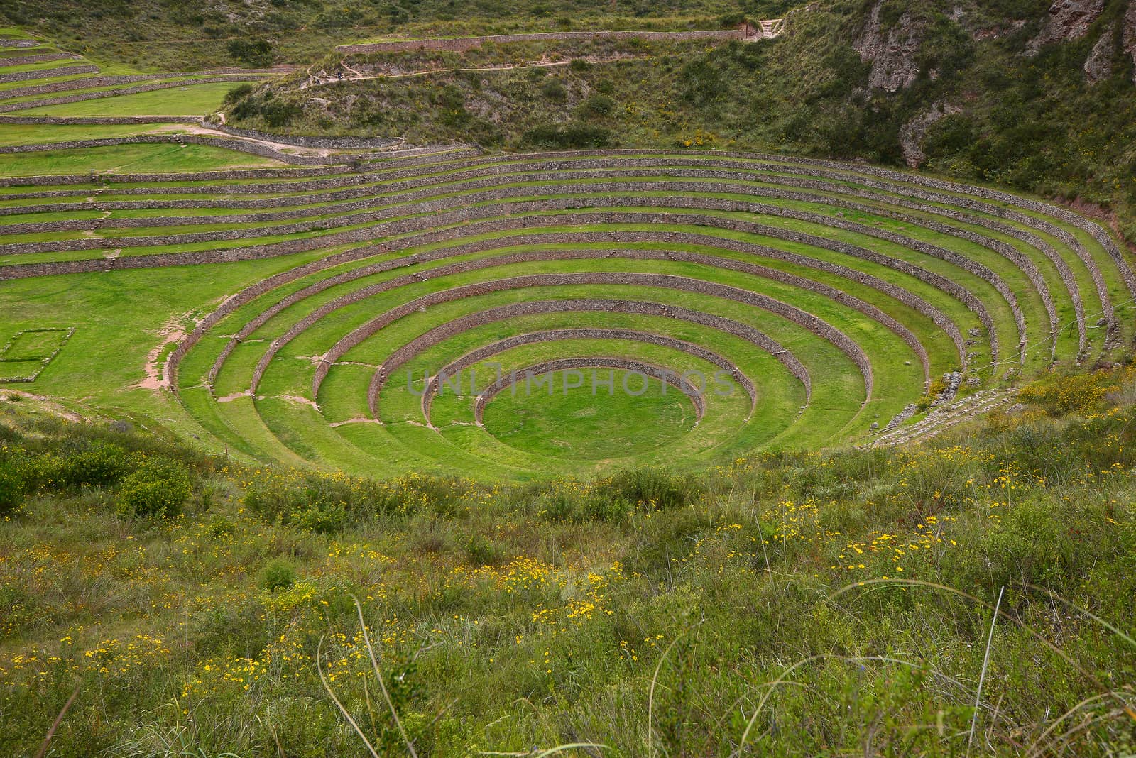 Inca ancient agriculture test farm in Peru