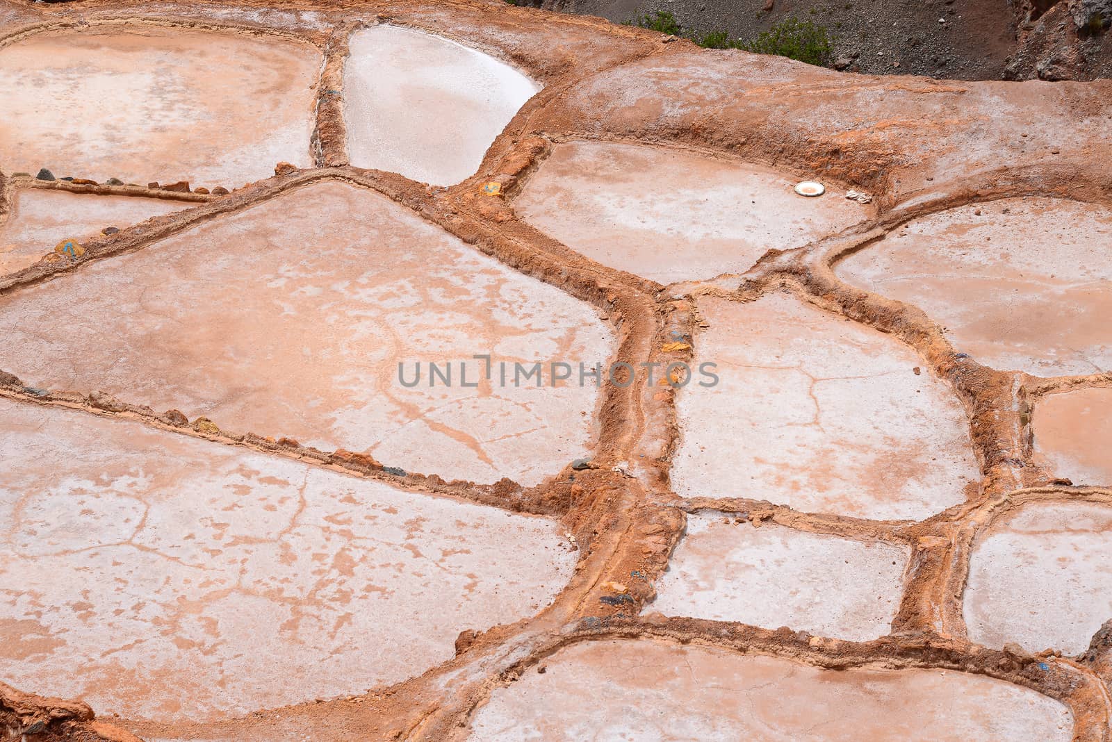 Inca ancient salt farm produced by evaporation in Peru