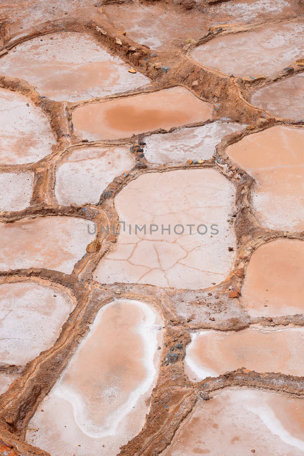 Inca ancient salt farm produced by evaporation in Peru