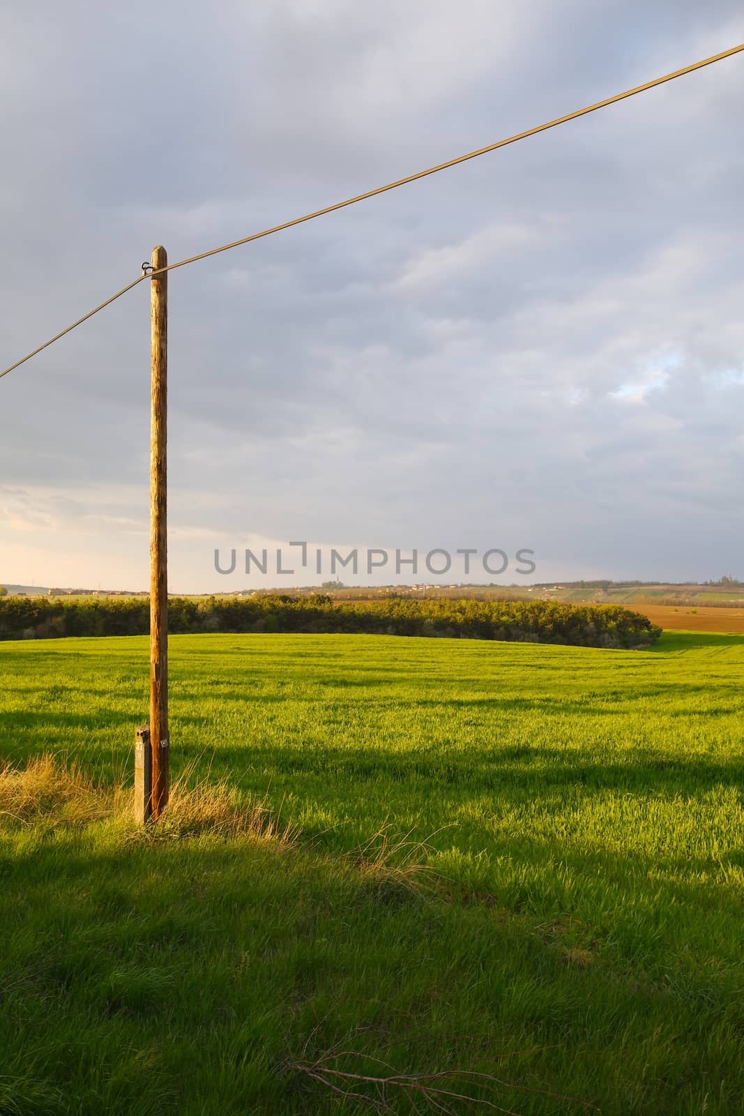Agricultural field in late sunlight