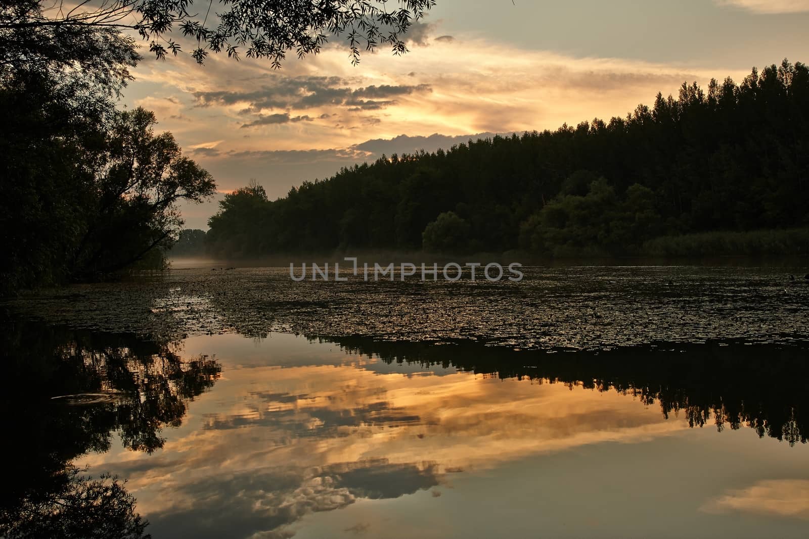 River sunset wit fog above the water