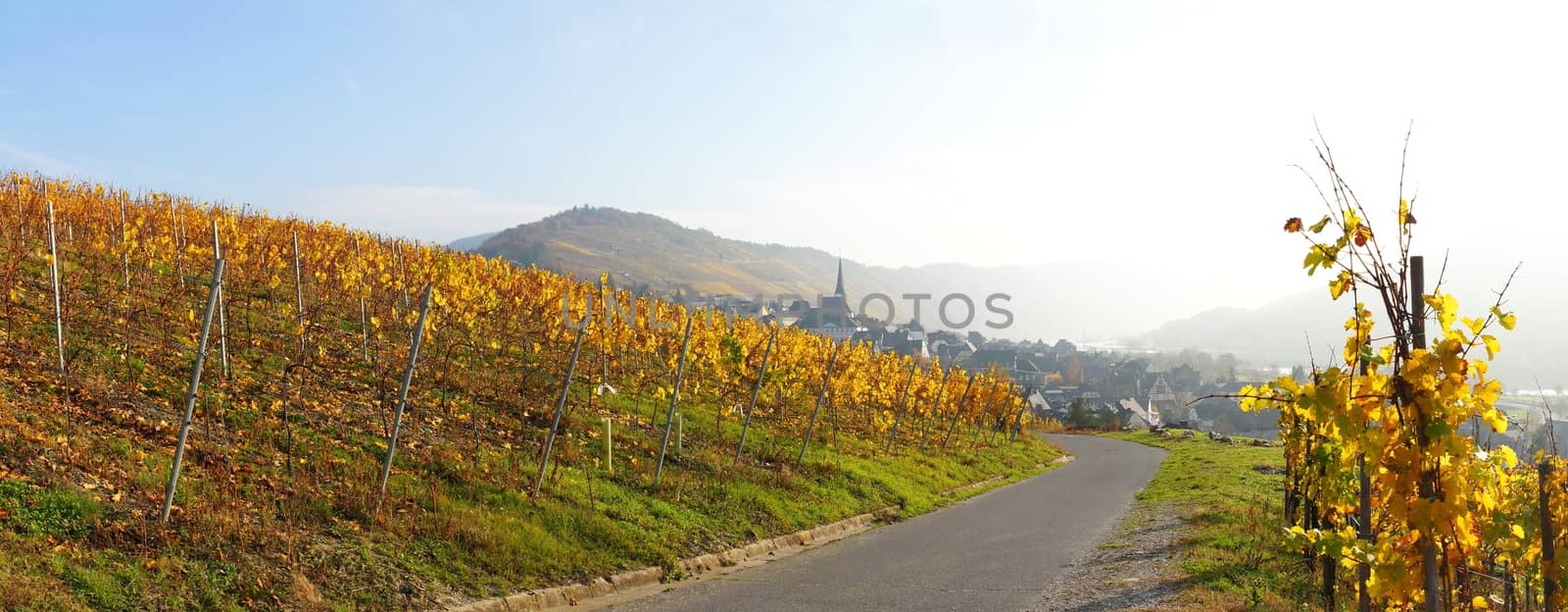 Panorama Enkirch an der Mosel
