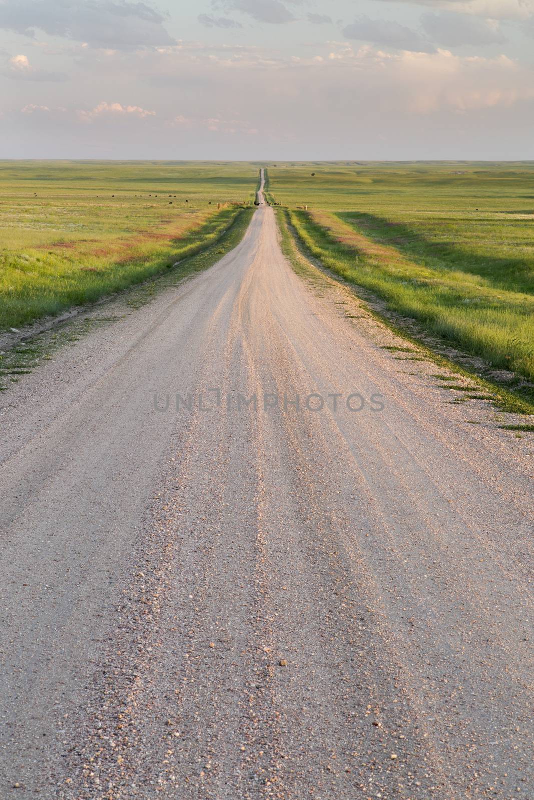 rural road in  eastern Colorado prairie in springtime, Pawnee National Grassland