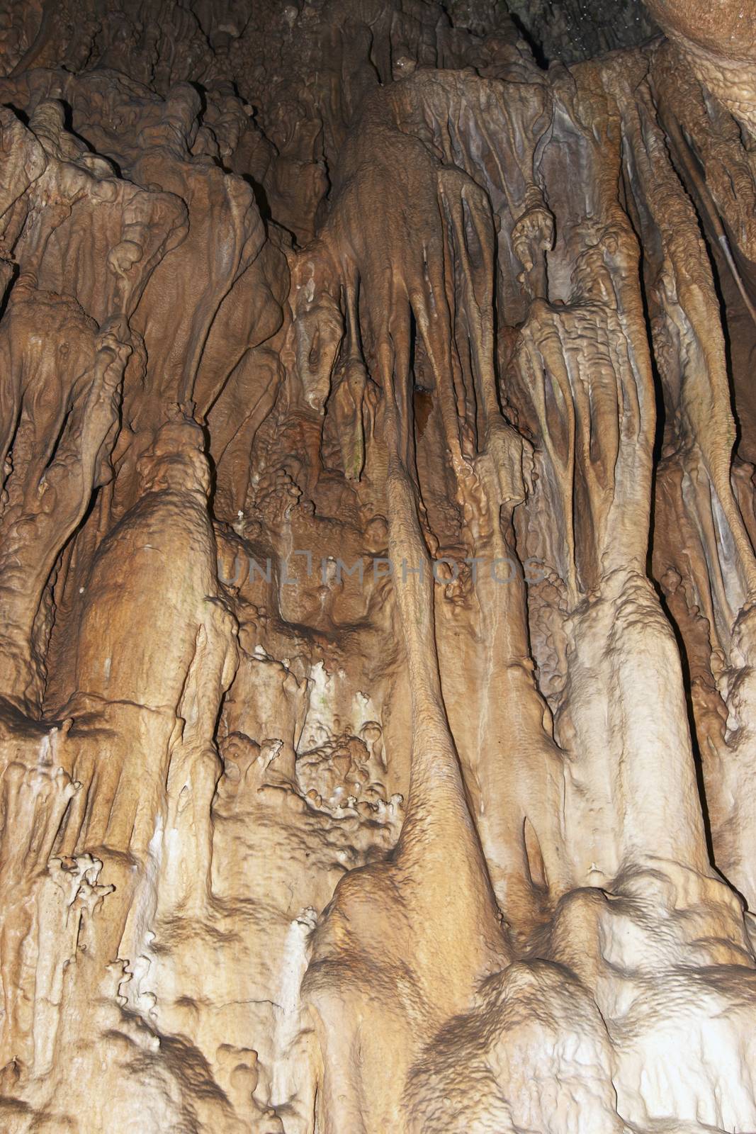 Javorice caves are located in central Moravia, about 10 miles west of Litovle city. Underground cave system Javorice a complex of corridors, domes and divides. Cave excel beautiful stalactite formations.
Javorice, Moravia, Czech republic.