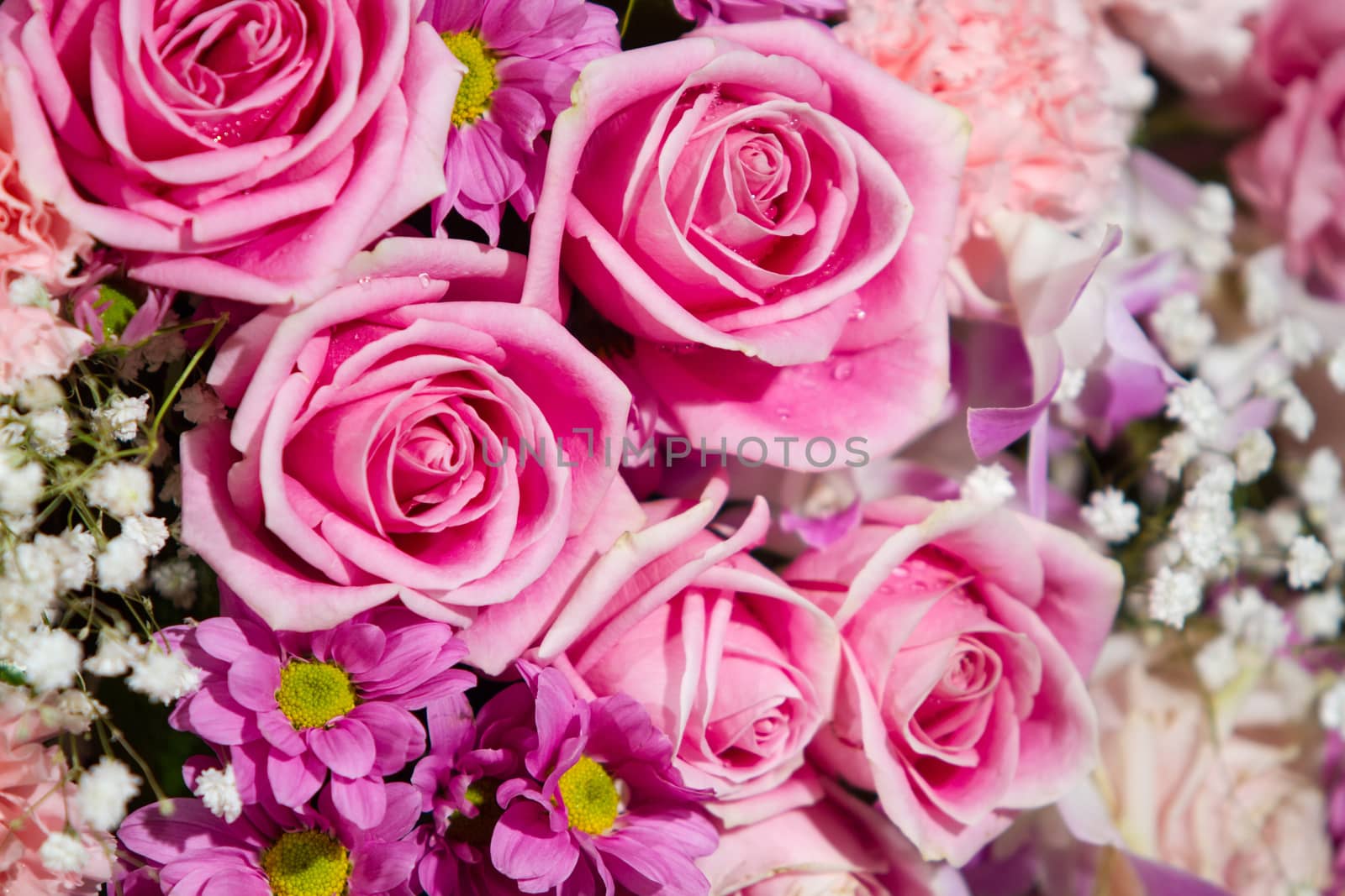 Rose flowers mixed bouquet with for background