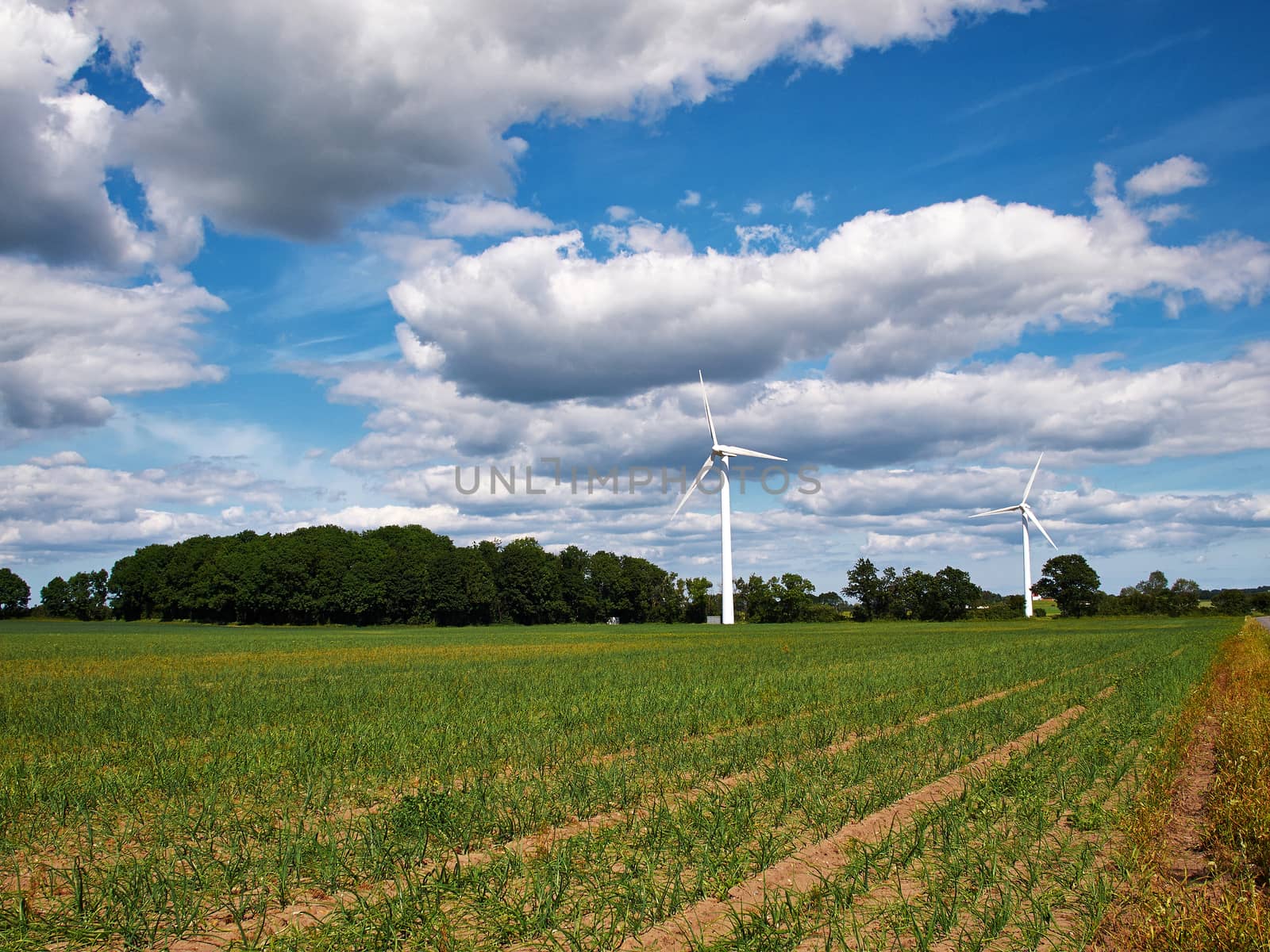 Wind turbines generating electricity alternative renewable energy