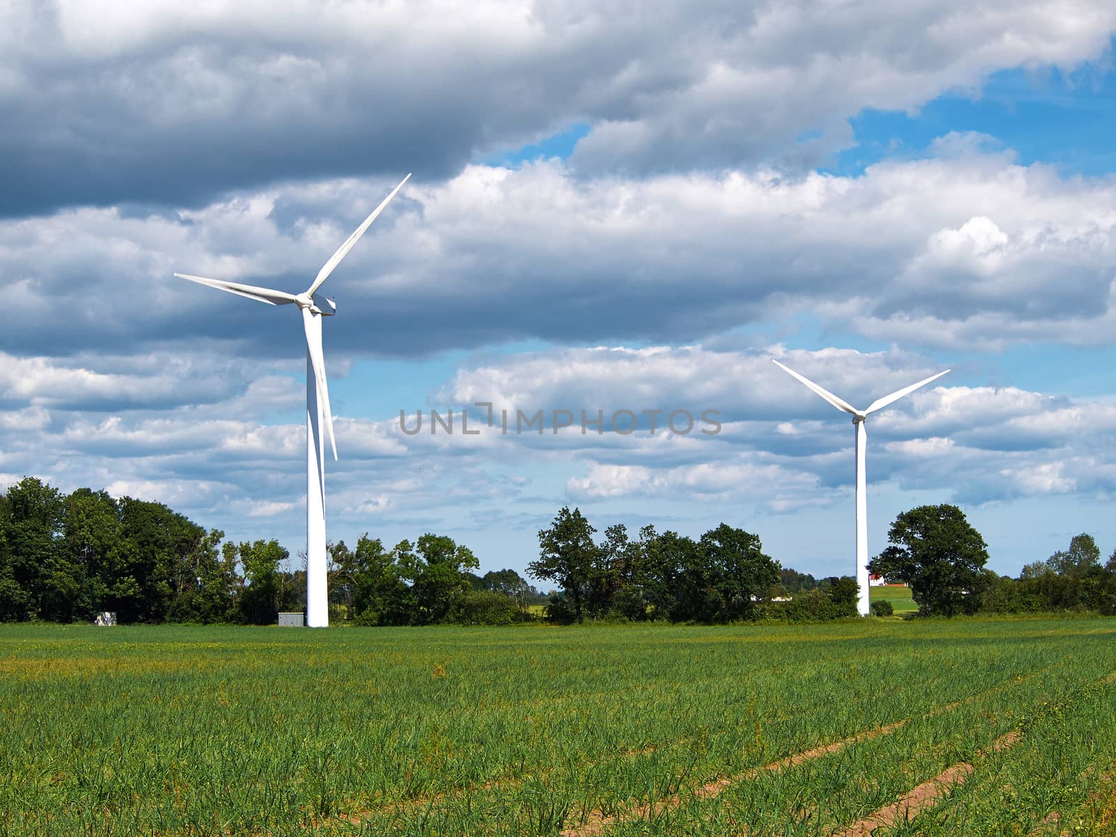 Wind turbines generating electricity alternative renewable energy