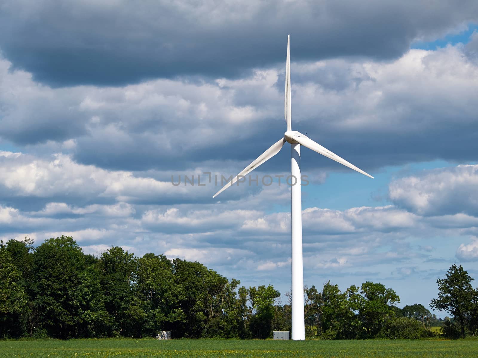 Wind turbines generating electricity alternative renewable energy