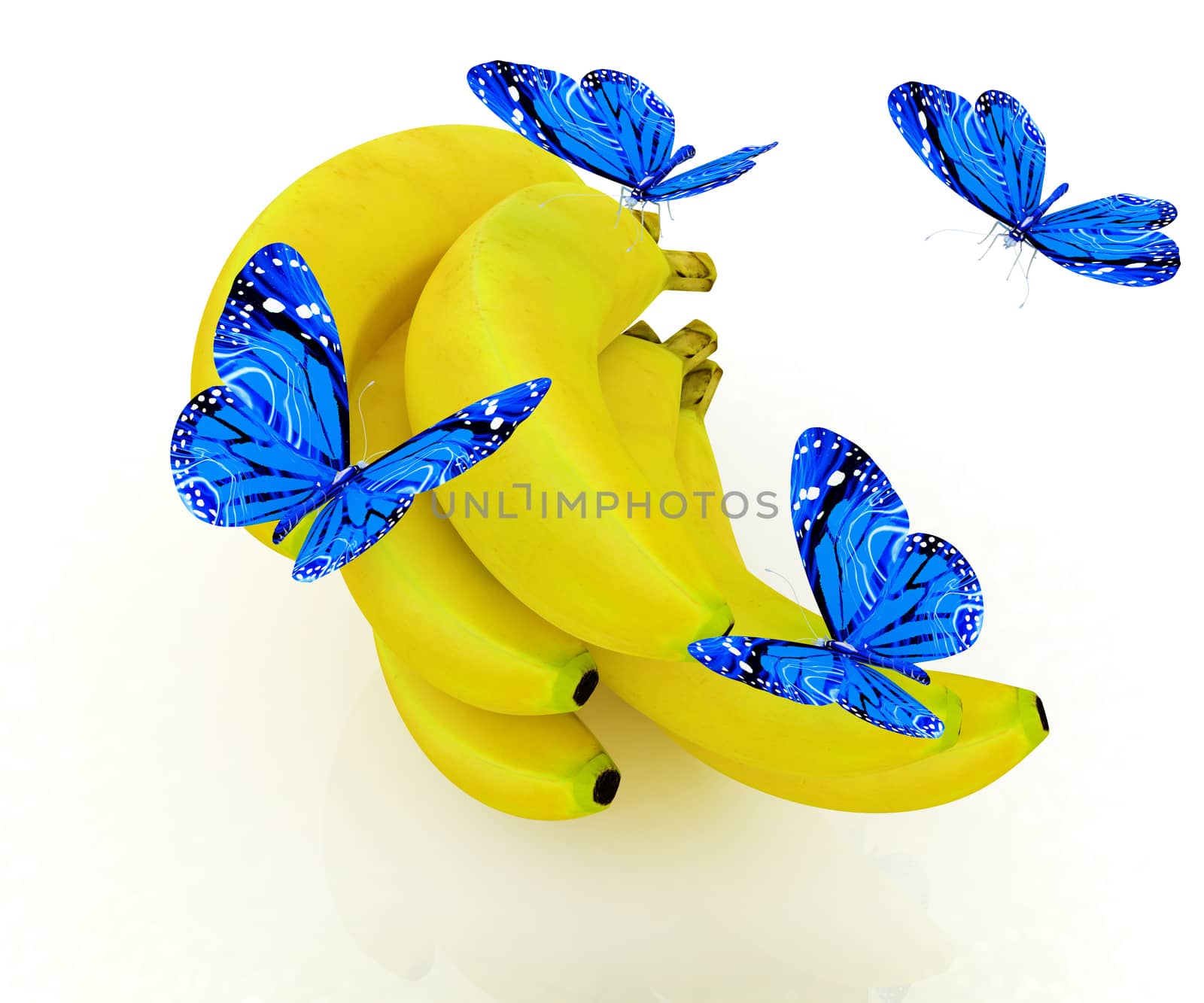 Blue butterflys on a bananas on a white background 