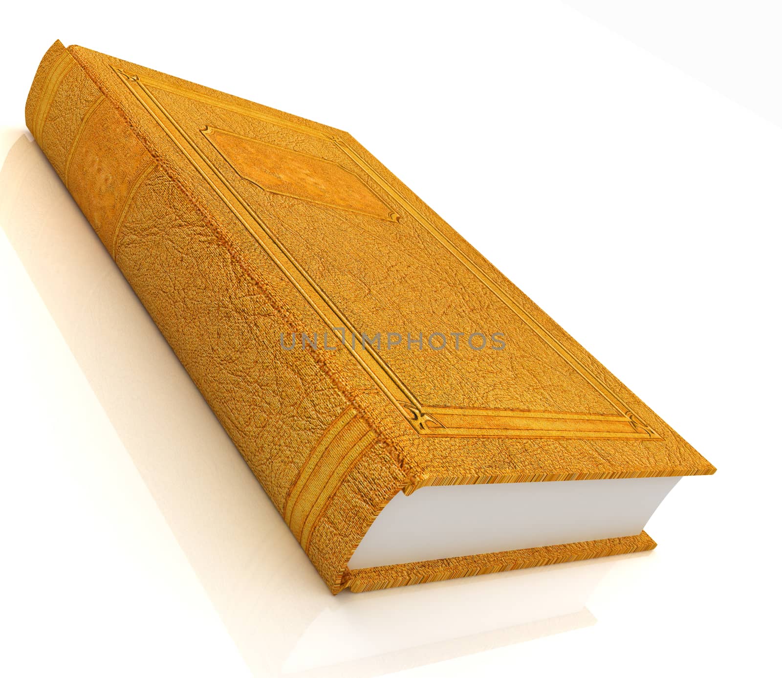 The leather book on a white background