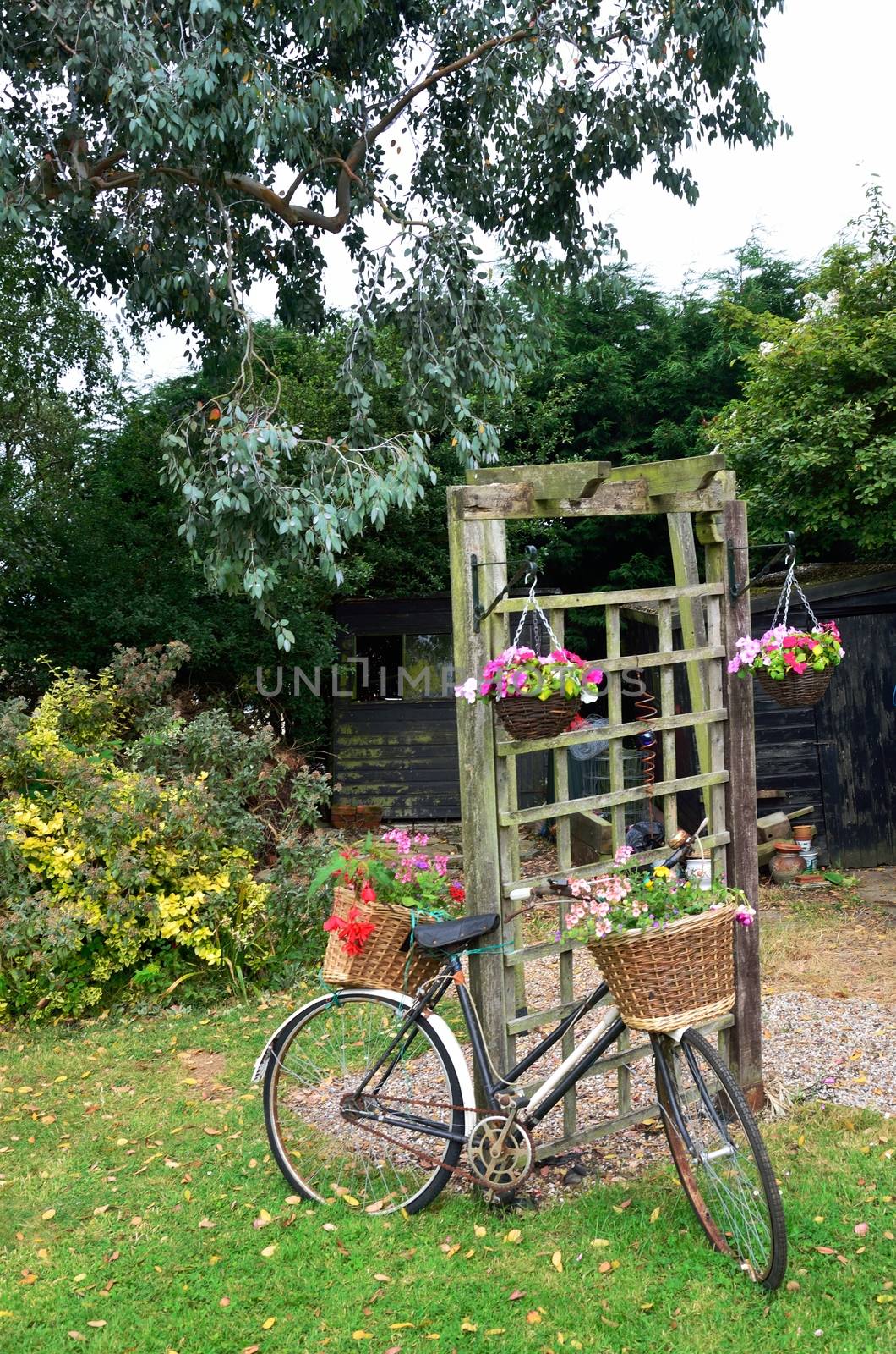 Bike with flowers in garden