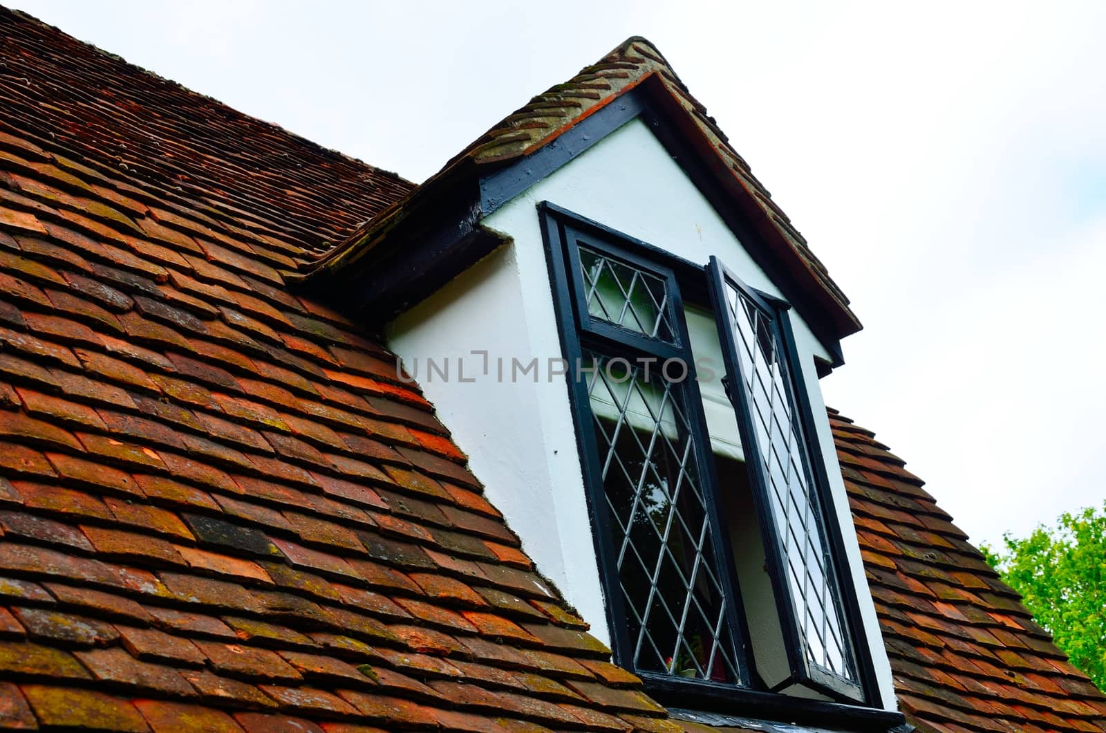 Cottage window in roof by pauws99