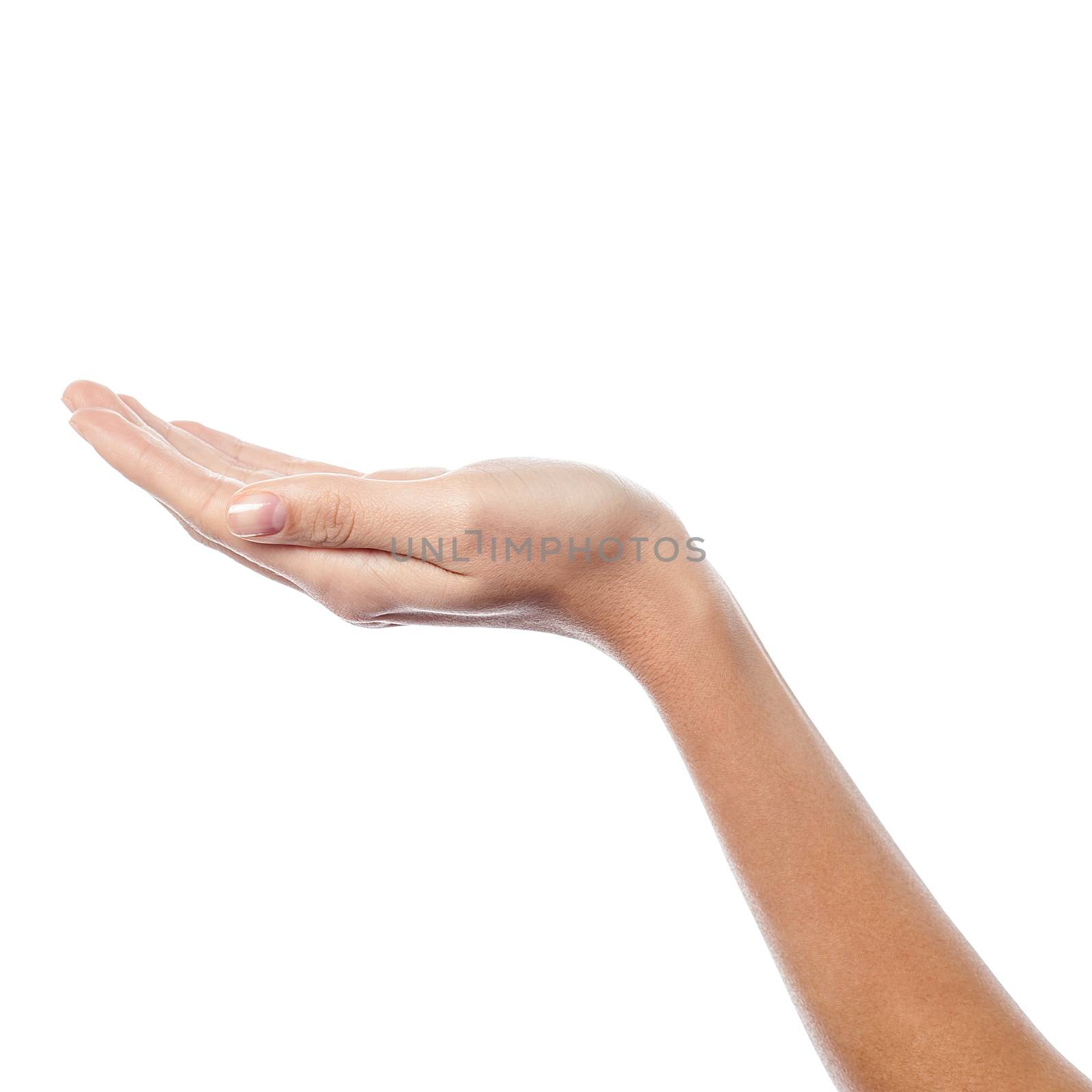 Woman hand in holding gesture by stockyimages