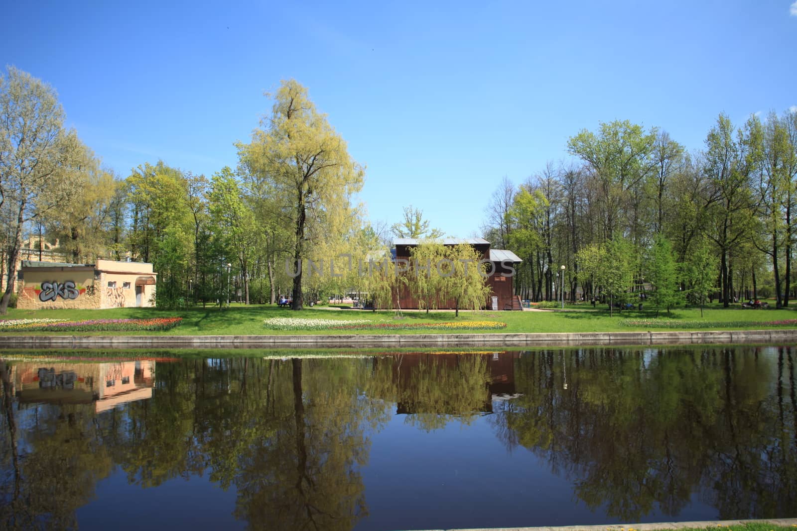 scenic landscape city garden in spring 