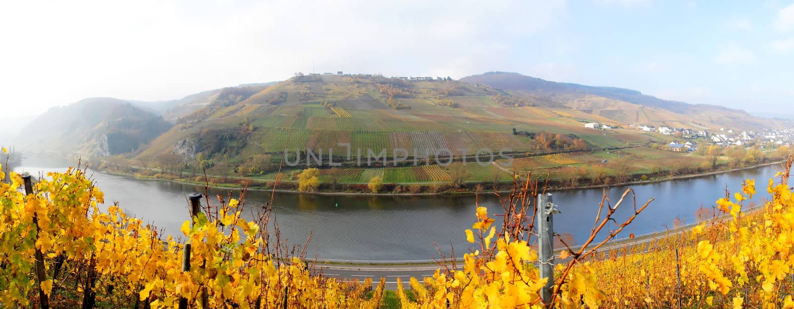 Moseltal bei Burg und Reil Panorama im Herbst
