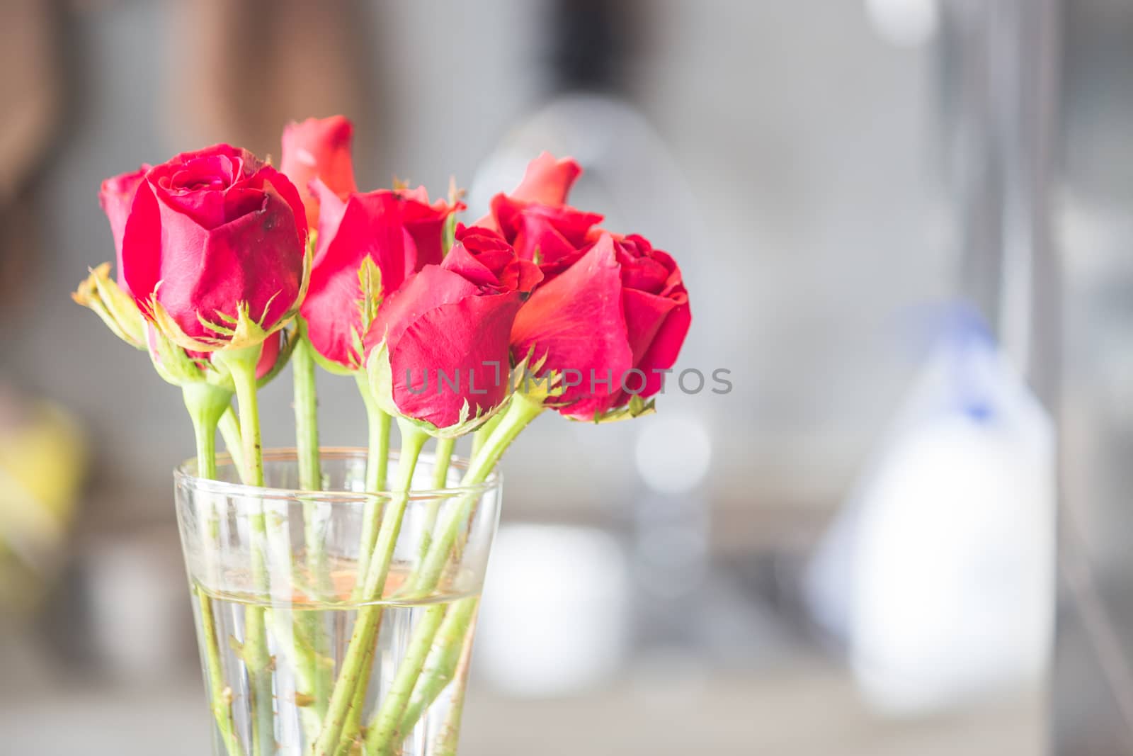 Bouquet of blossoming red roses in vase by punsayaporn