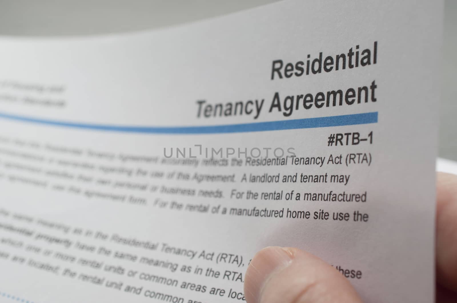 Close up woman reading residential tenancy agreement